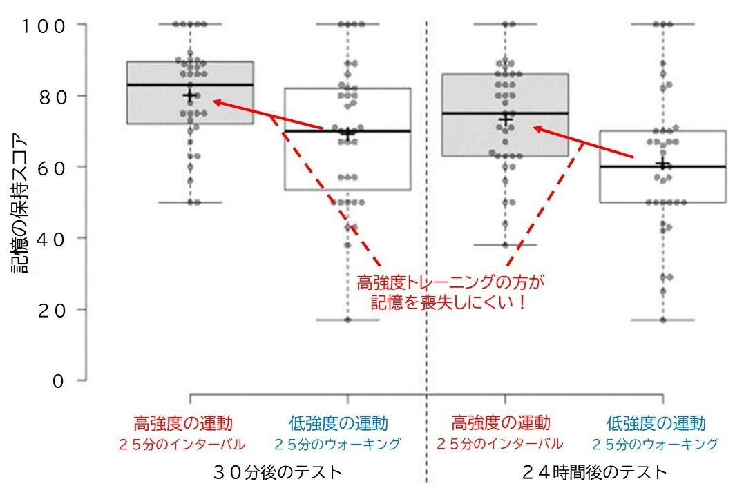 30分後・24時間後の記憶の保持に、インターバル走がどの程度効果あるか：Makepeace R et al.PLoS One.2024