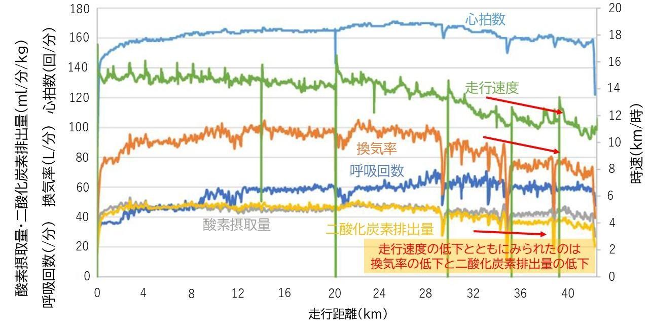 フルマラソン走行中の速度と心拍数、換気率、呼吸回数、酸素摂取量、二酸化炭素排泄量の関係：Palacin F et al.Int J Environ Res Public Health.2024