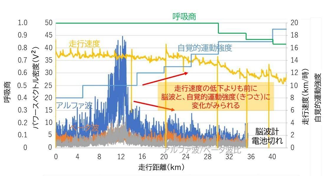 フルマラソン走行中の速度と脳波、自覚的運動強度、呼吸商の関係：Palacin F et al.Int J Environ Res Public Health.2024より改