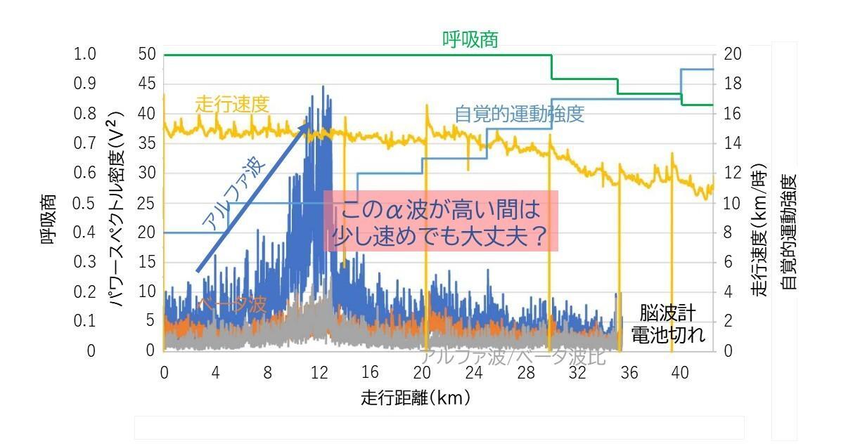 フルマラソン走行中の速度と心拍数、換気率、呼吸回数、酸素摂取量、二酸化炭素排泄量の関係：Palacin F et al.Int J Environ Res Public Health.2024より改