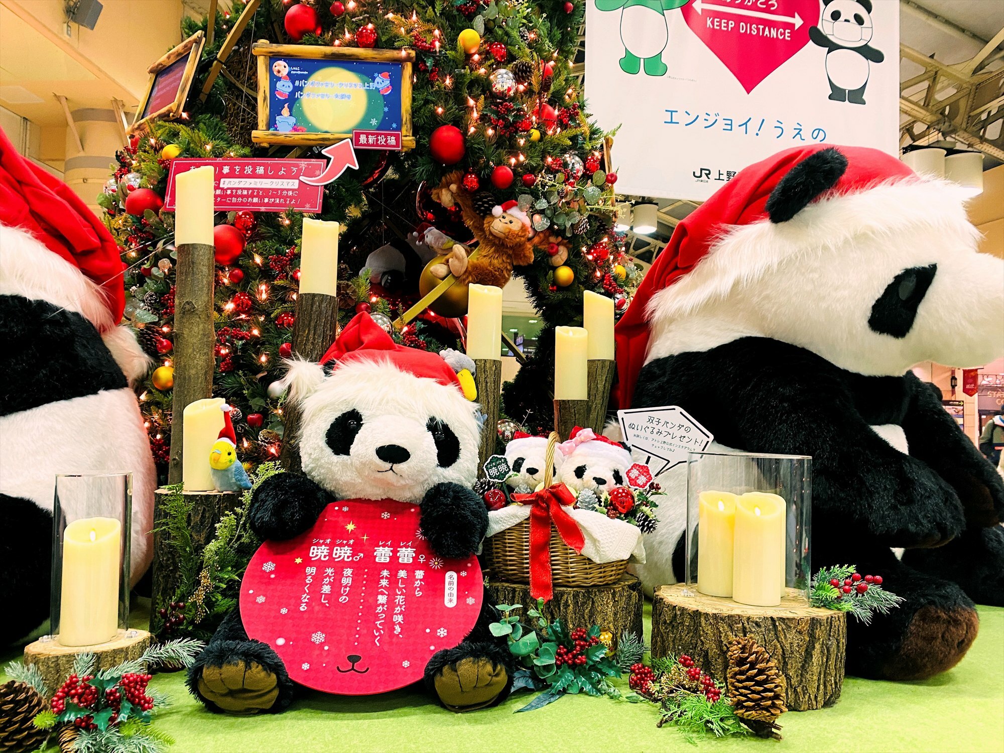 パンダファミリー クリスマス。キャンドルに願いをかけて Make a Wish !  - JR東日本 上野駅