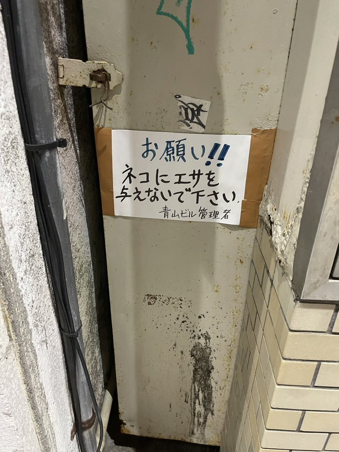 鍛冶町野良猫問題