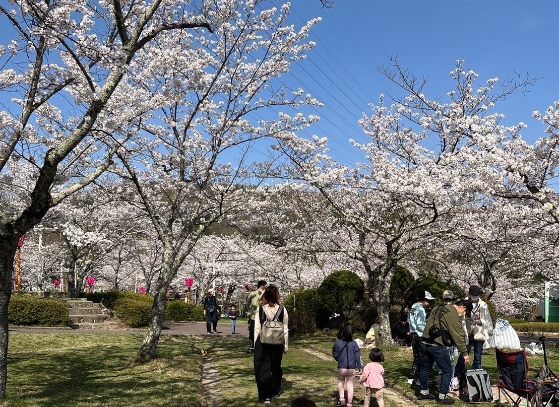 摂津峡桜公園