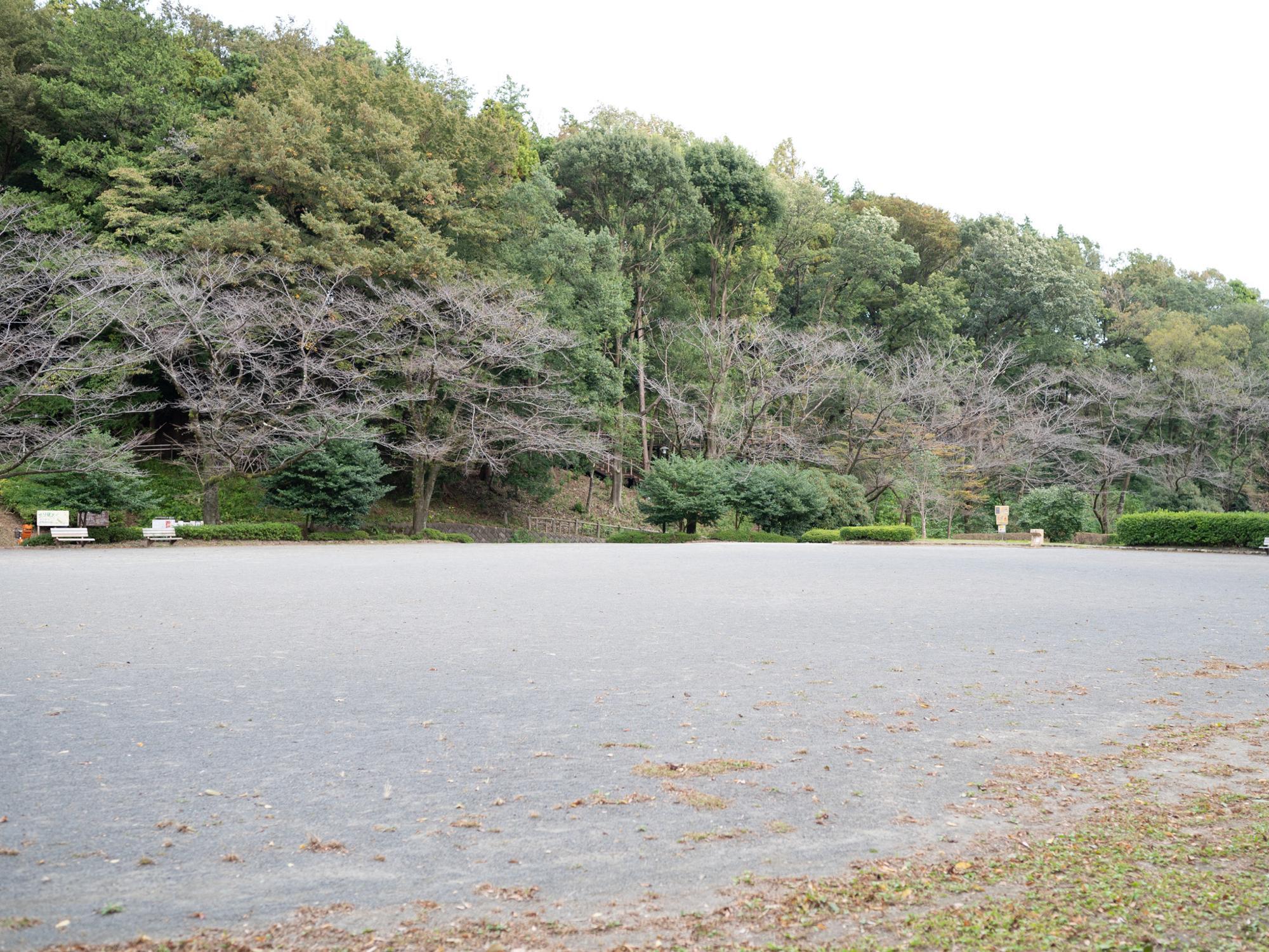 古武術演武などの会場となる多目的広場