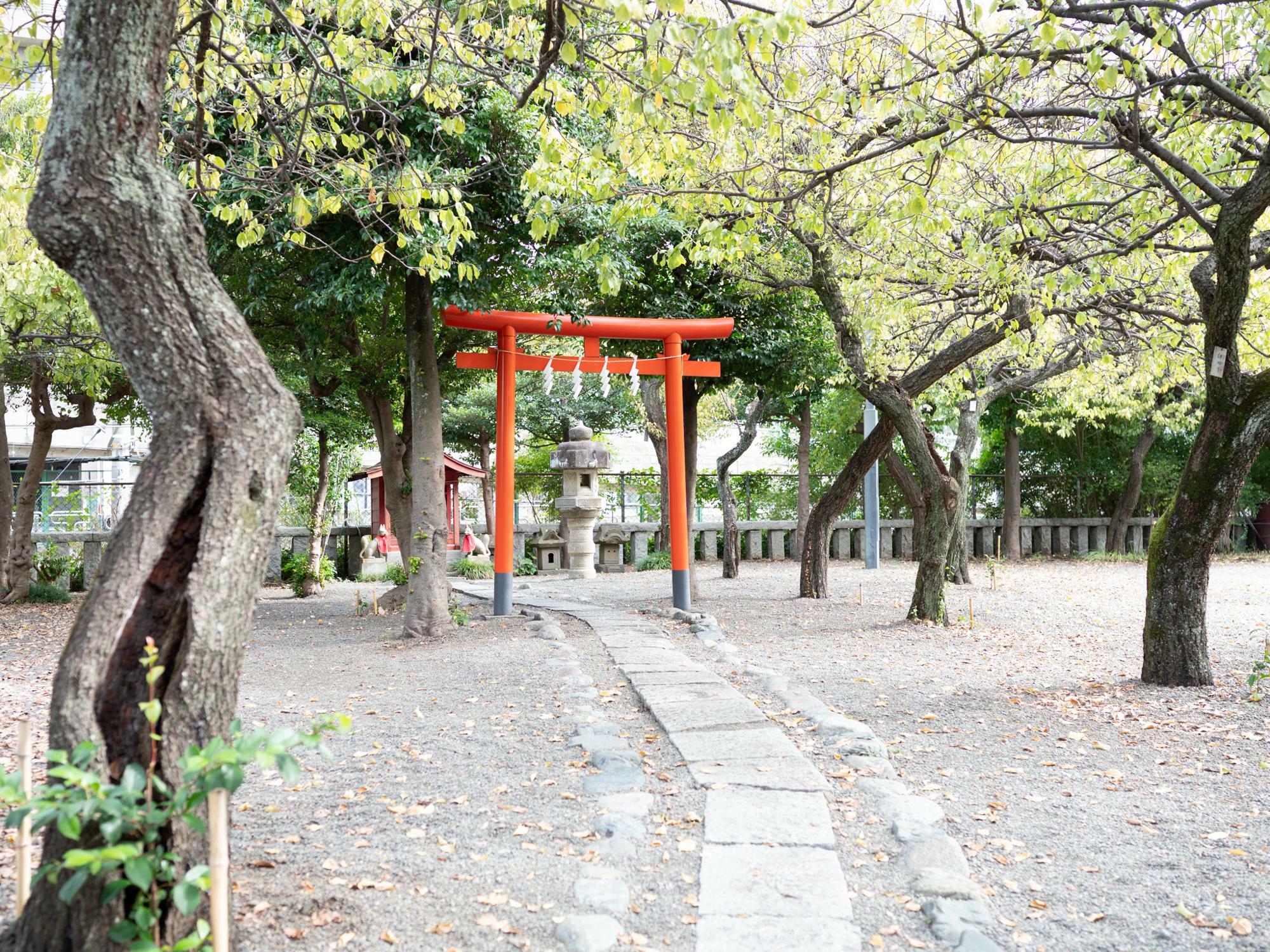 10月の町田天満宮の様子