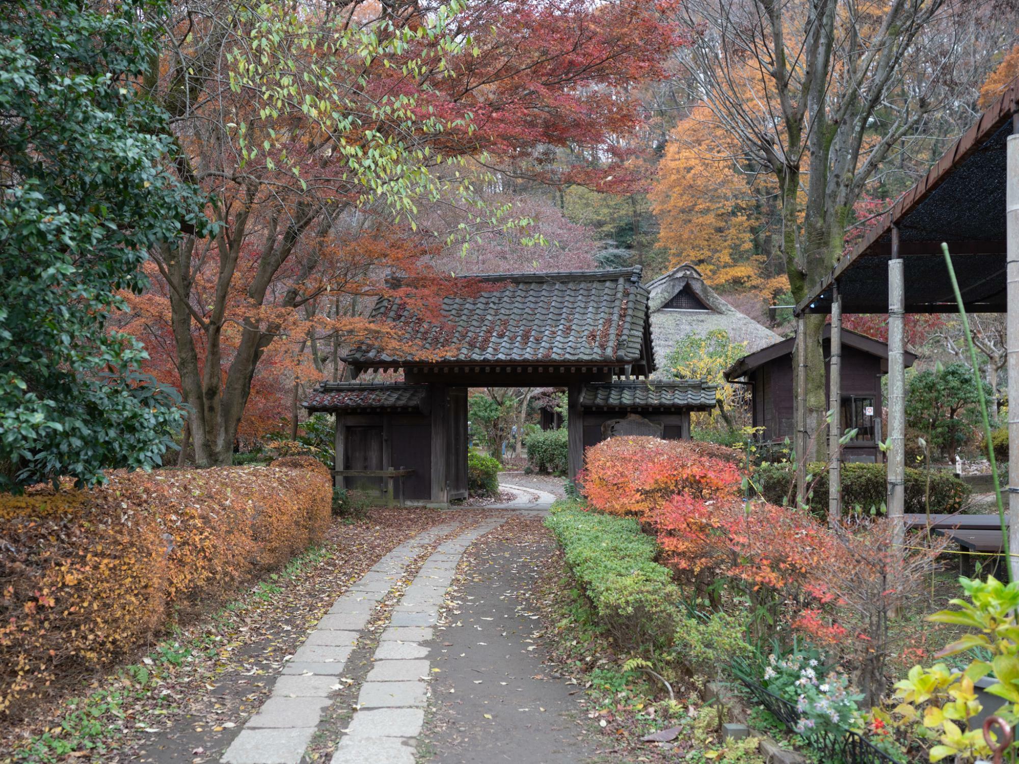 薬師茶屋の隣にある、旧荻野家