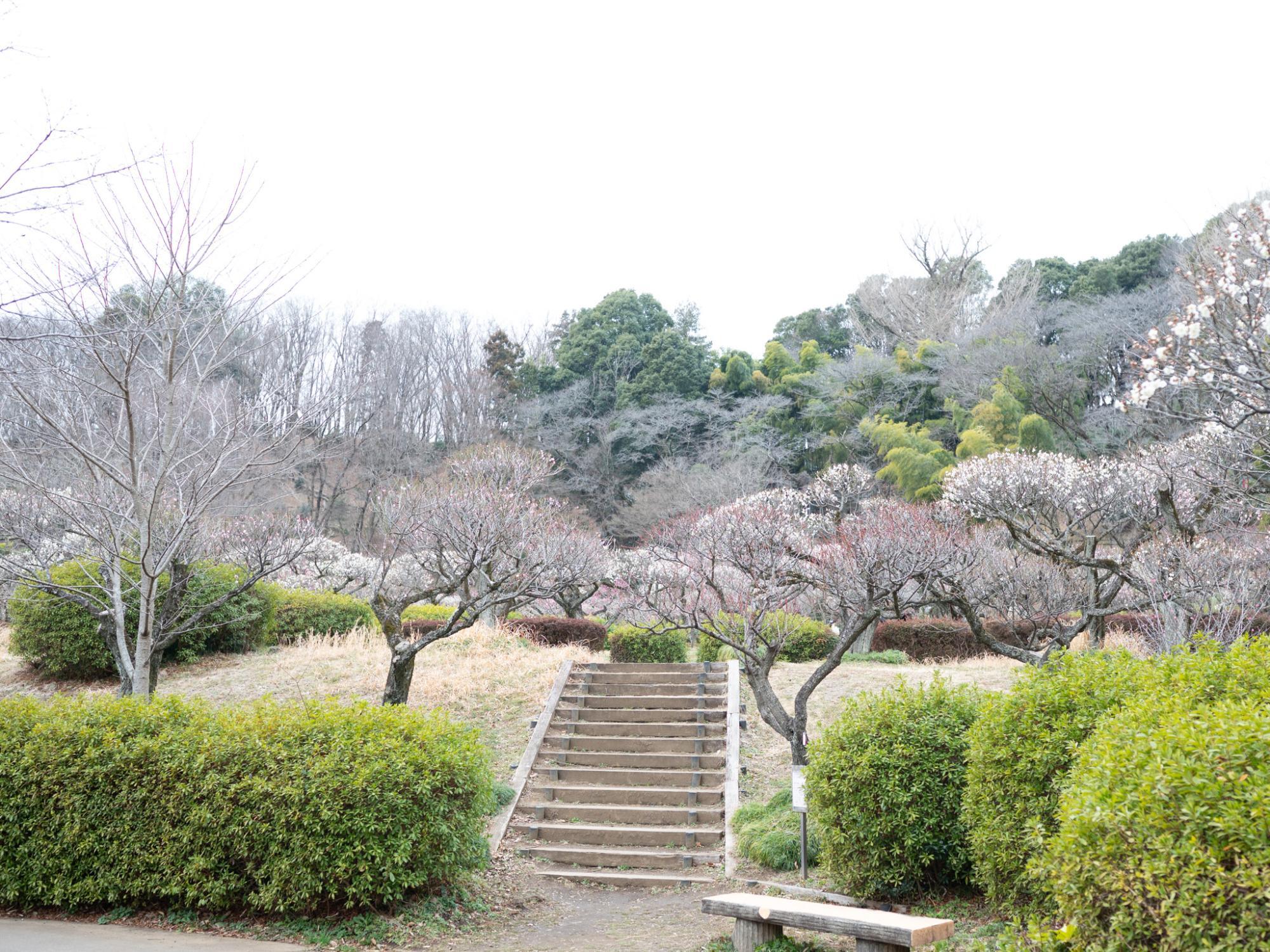 2月17日（土）の様子