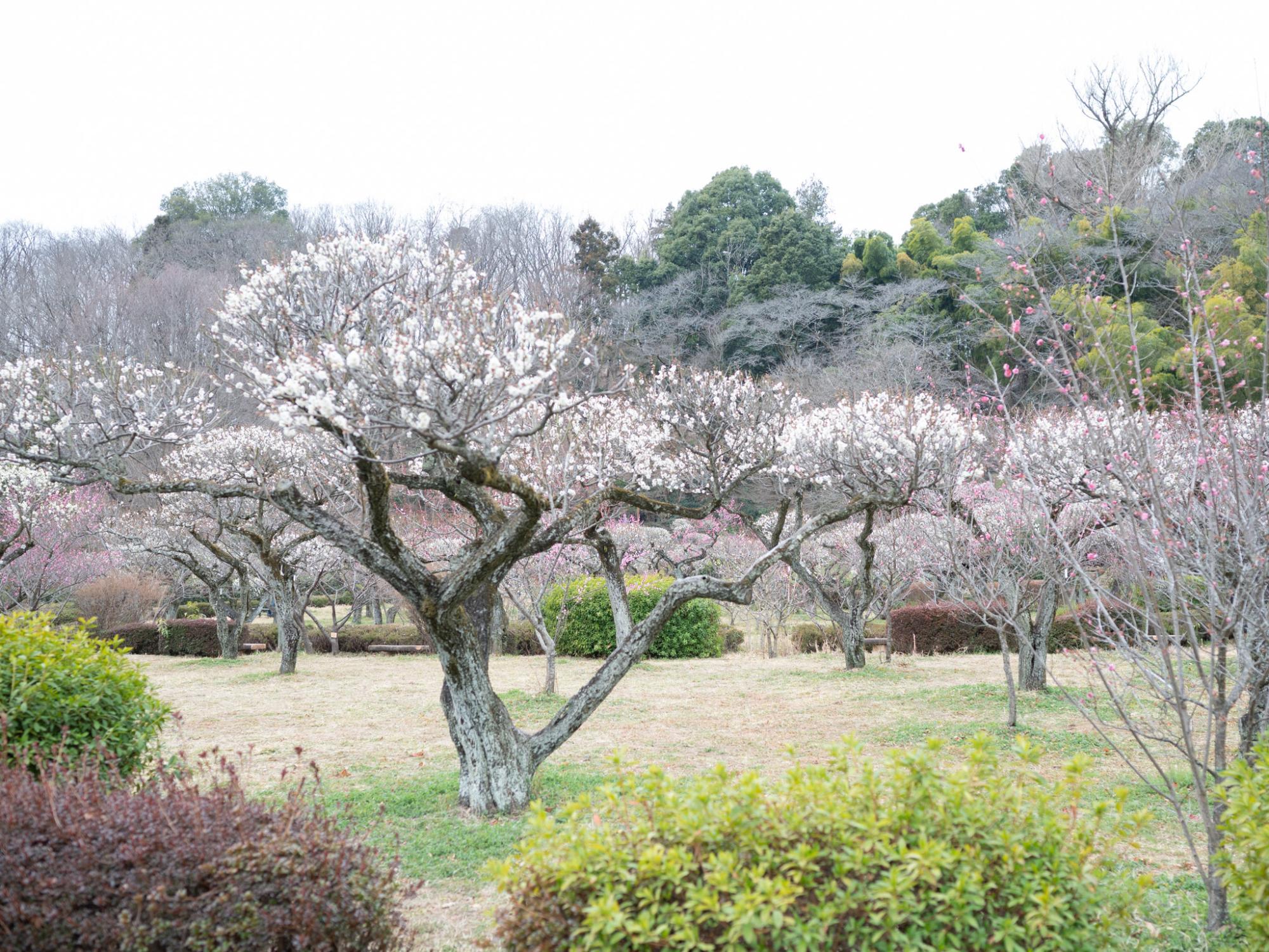 2月17日（土）の様子