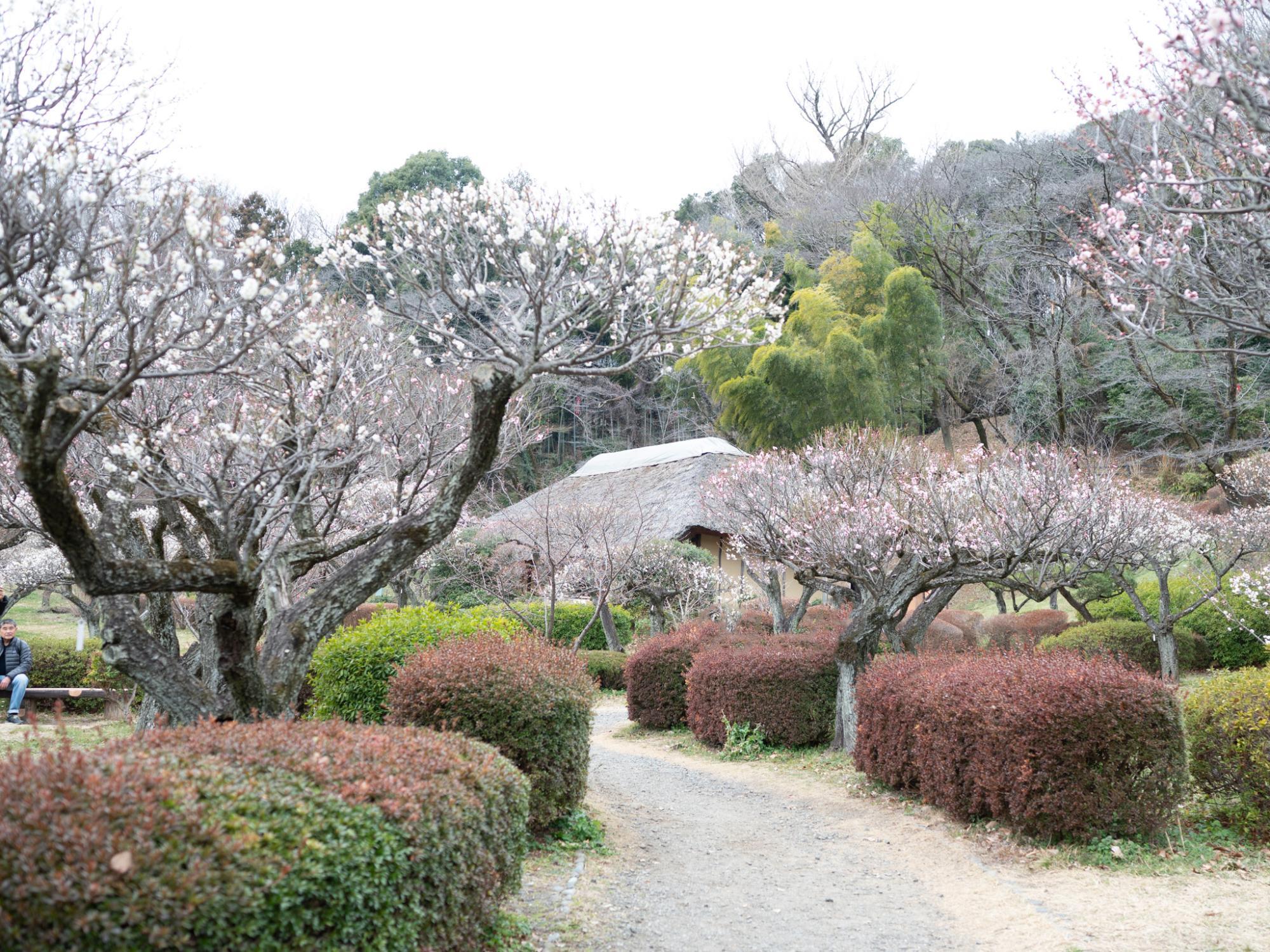 2月17日（土）の様子