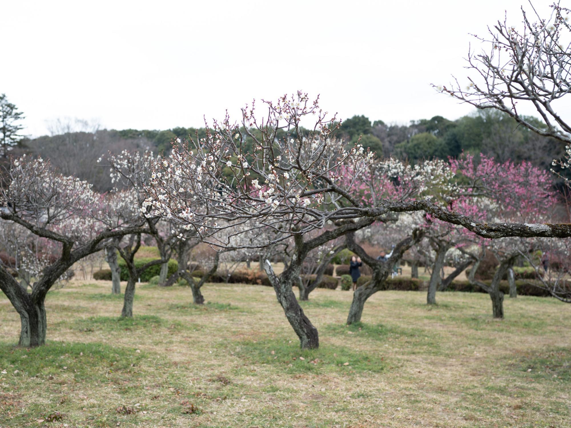 2月17日（土）の様子