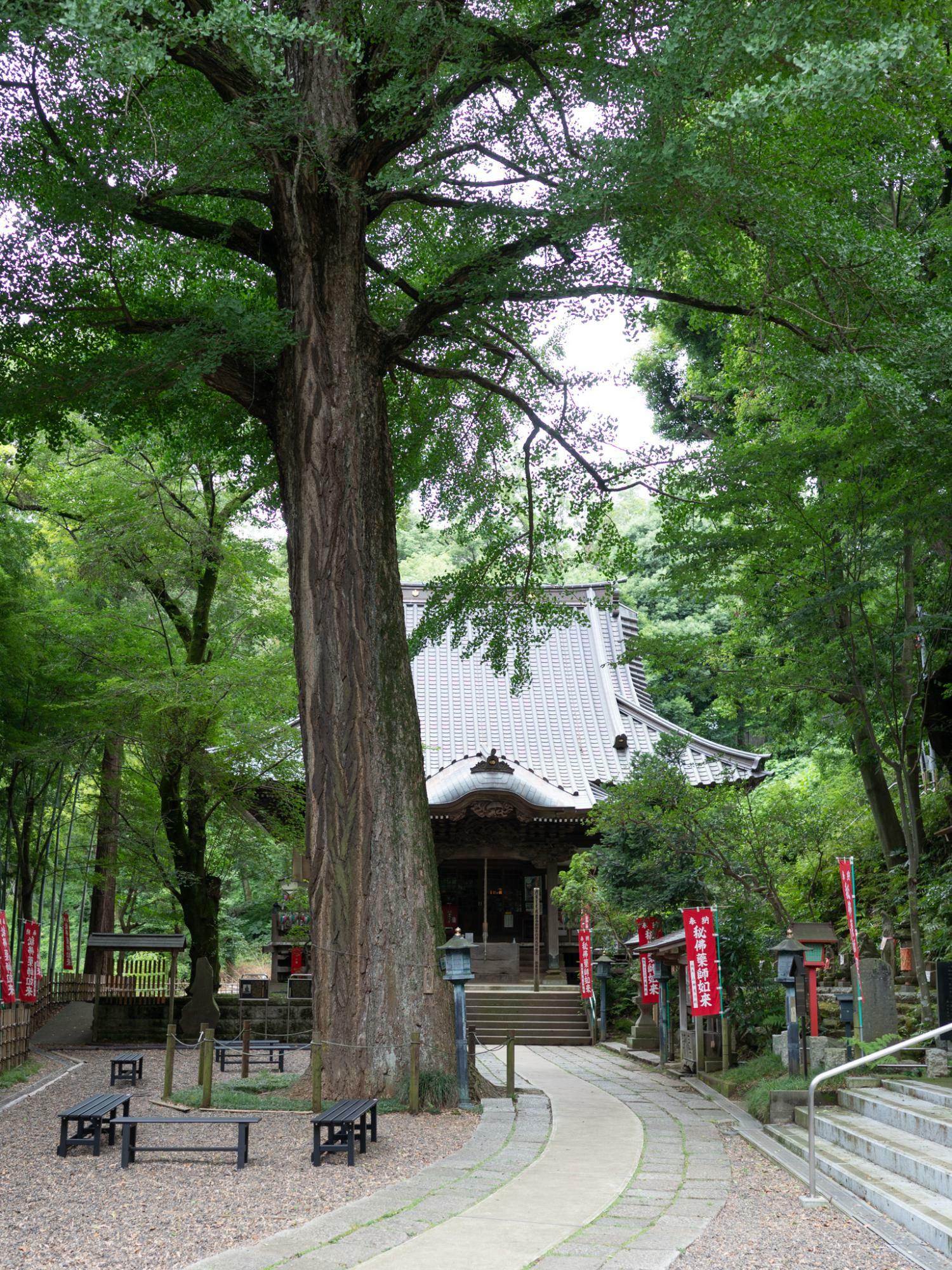 7月半ばの野津田薬師堂 / Nozuta Yakushido in Machida, Tokyo