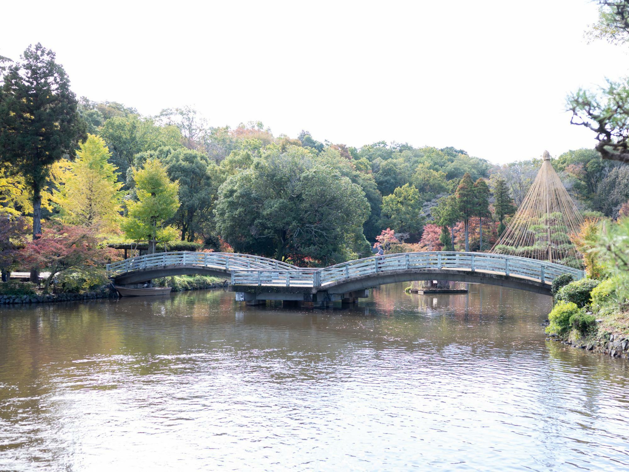 2023年11月半ば薬師池公園の様子