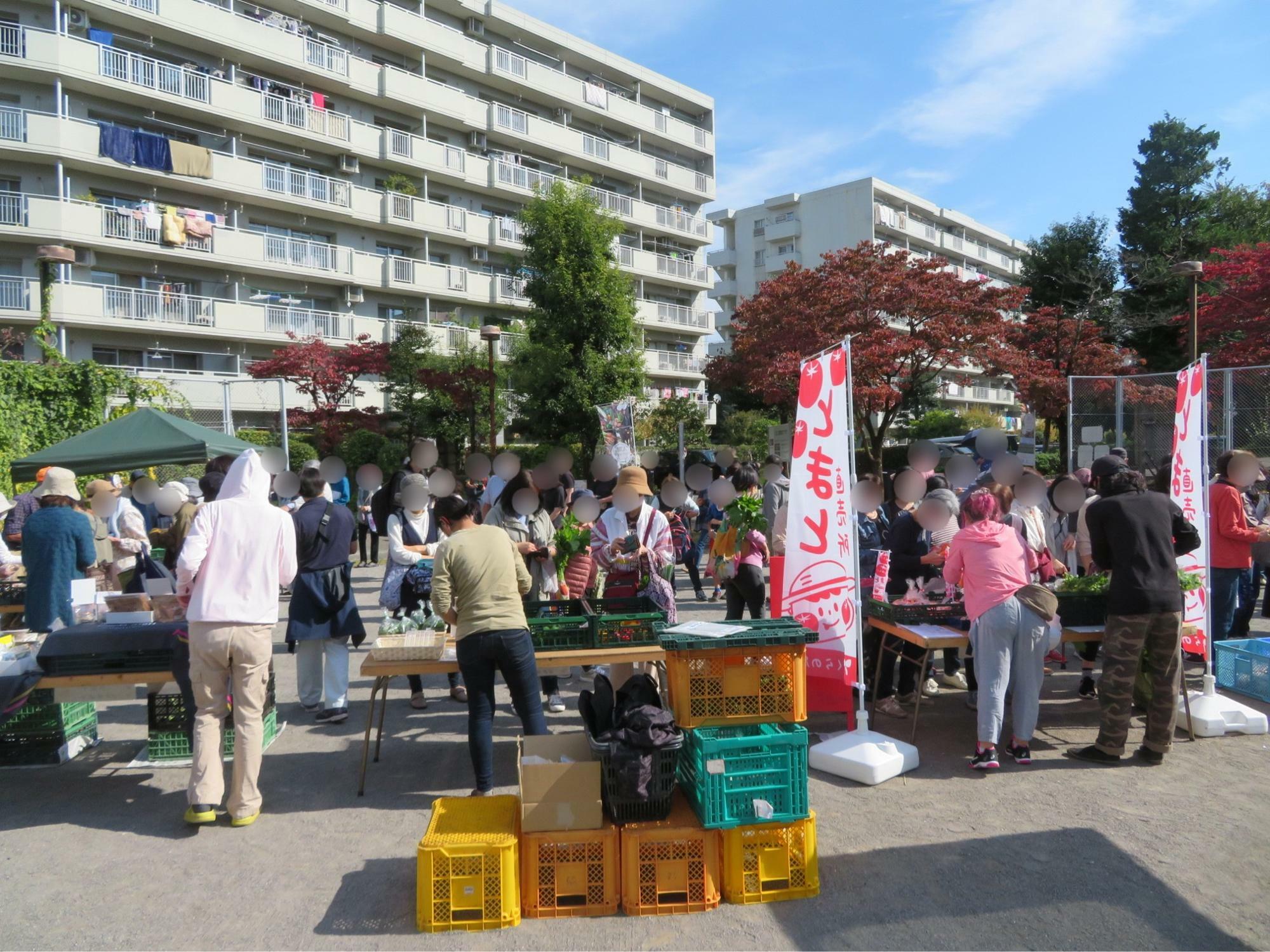 画像提供：入間市農業振興課様