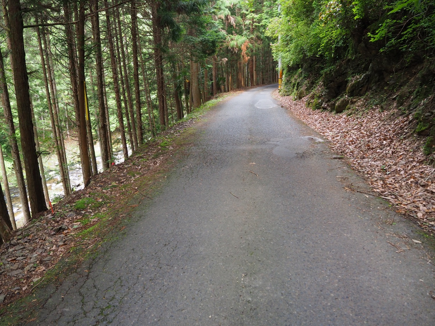 ガードレールが無いのが当たり前の環境に住んでいます。高野山へ続く道の一つ。