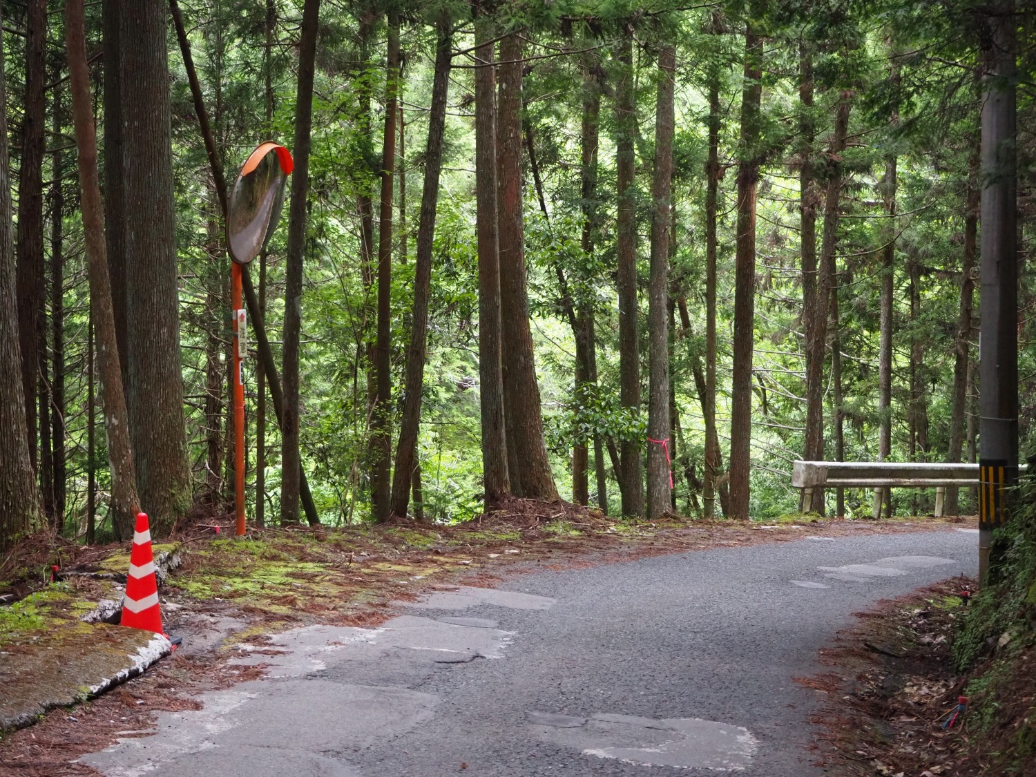 ミラーは絶対見て欲しい。一見交通量が無いように思えても、車が来るときは来ます