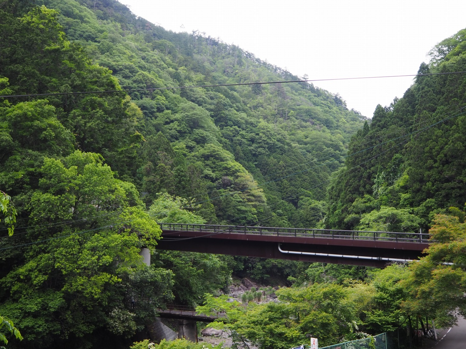 緑に囲まれた山の中にぽつんと施設はあります