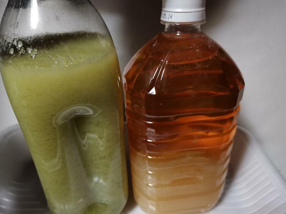 本物の食用の鯨油。左はオリーブ油、右は鯨油。寒いとオリーブ油は固化するが、鯨油はしない。