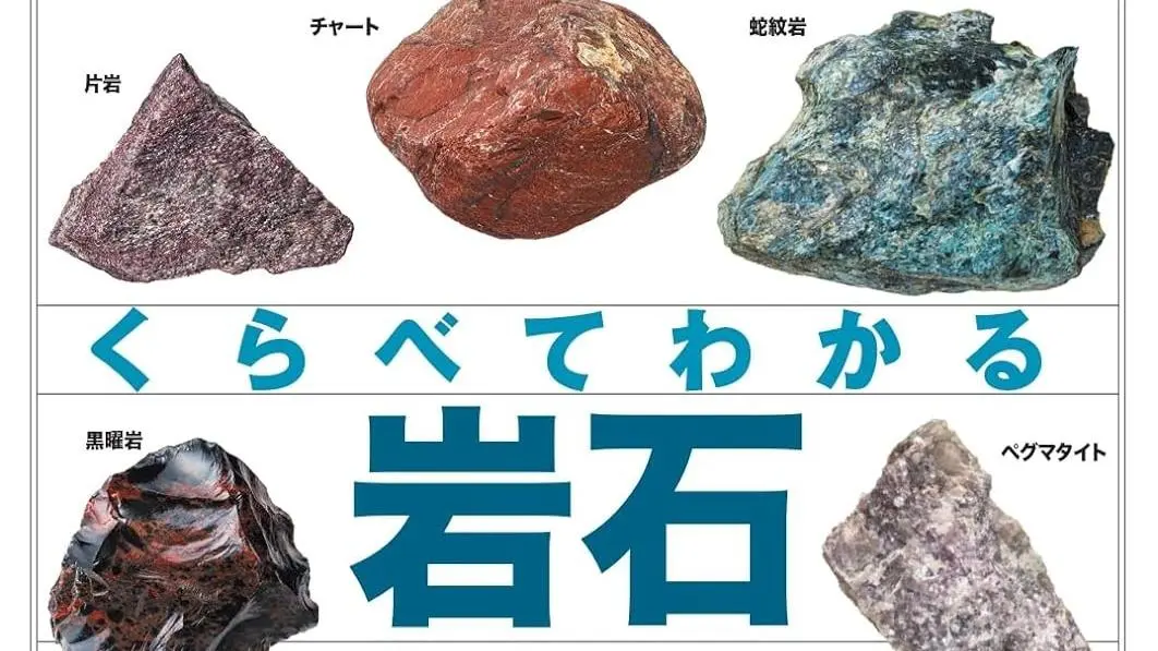 橋本市(高野山エリア)】橋本が現場の、子どもの探究心を育てられそうな本発見！ 石ころ好きな方へ。（田中寛人） - エキスパート - Yahoo!ニュース