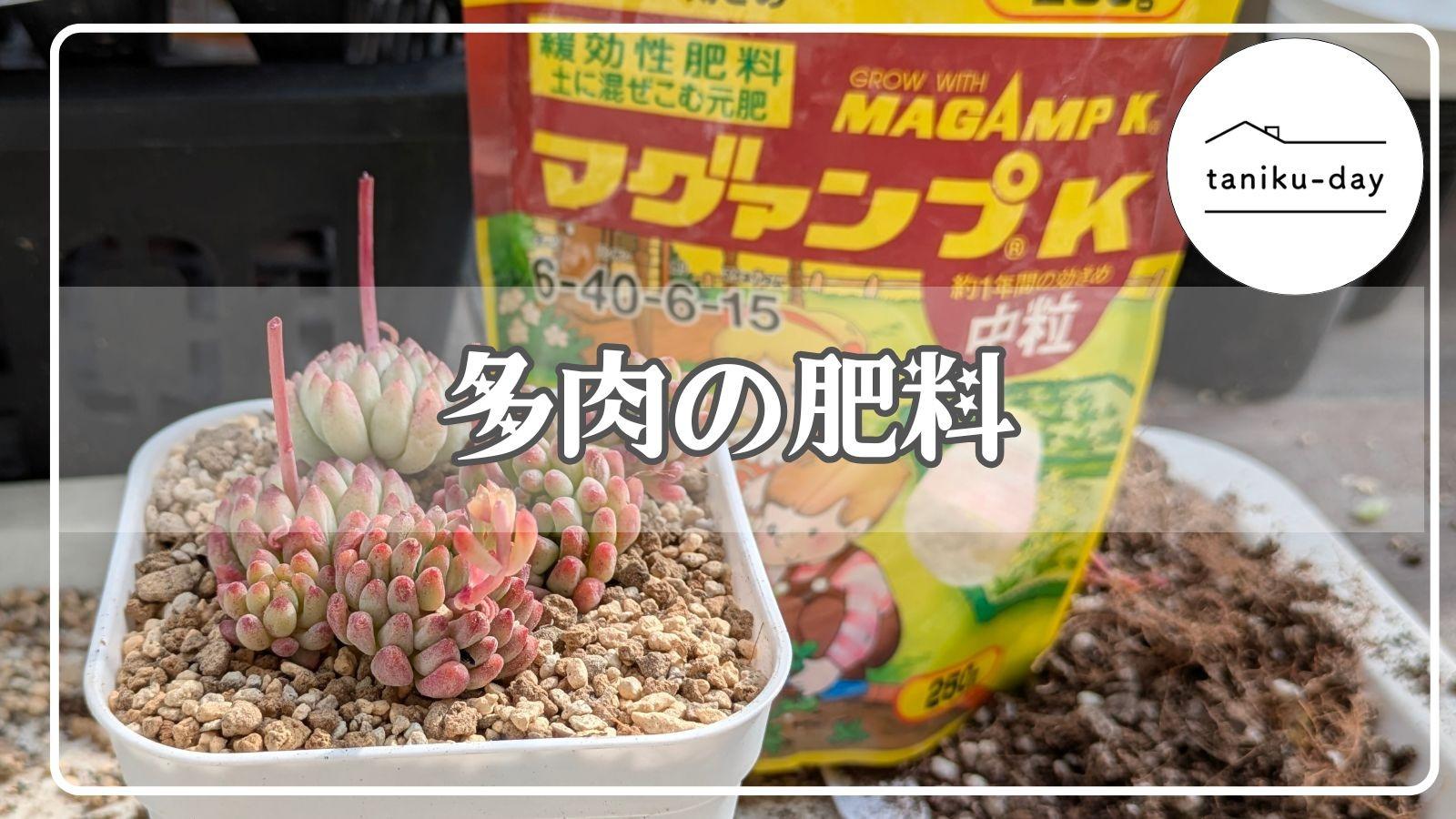 多肉植物】大きく丈夫に育ってね♪育てやすい肥料紹介と使い方 多肉植物】大きく丈夫に育ってね♪育てやすい肥料紹介と使い方