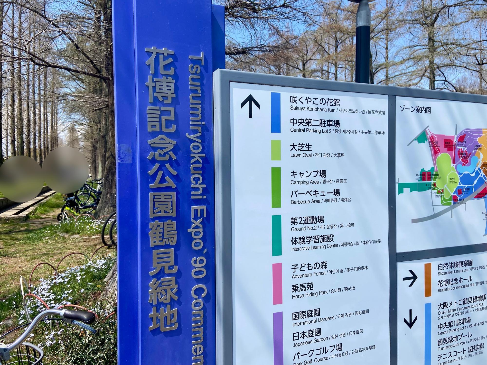 大阪市鶴見区】青空のもと、満開の桜が咲き誇る！ 「花博記念