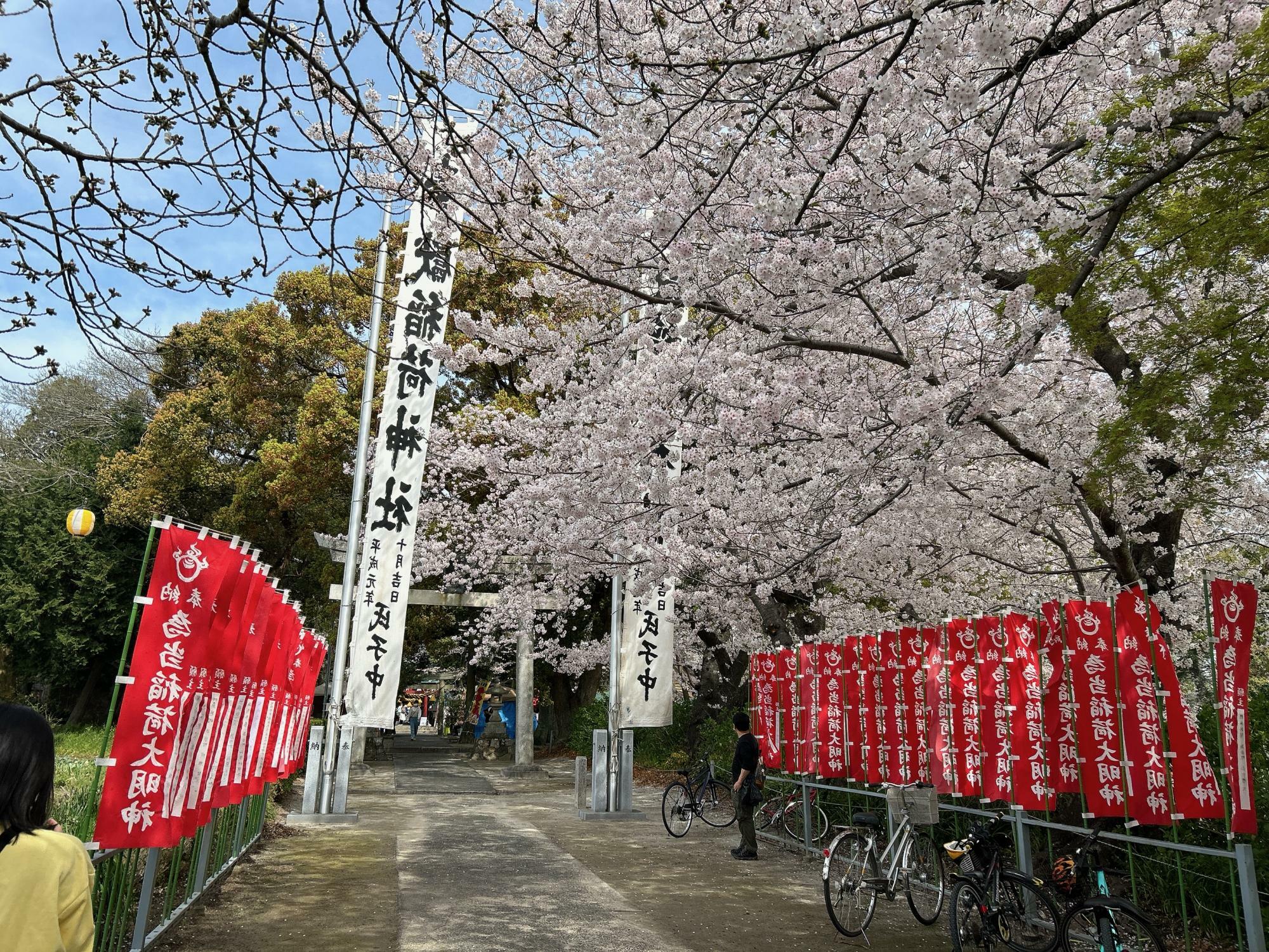 2024年春の為当稲荷神社