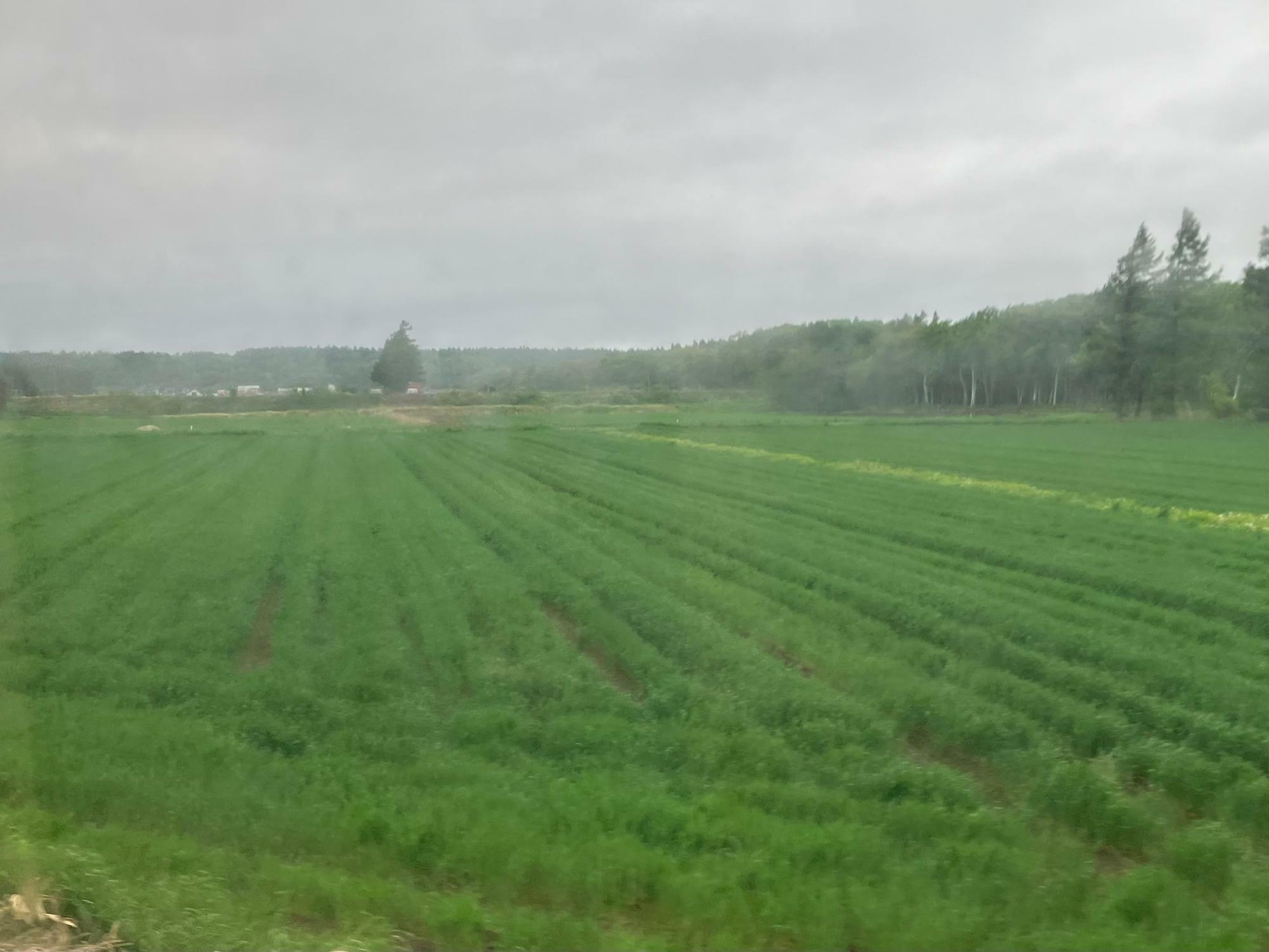 北海道オホーツク地方の農地は広大だ（筆者撮影）