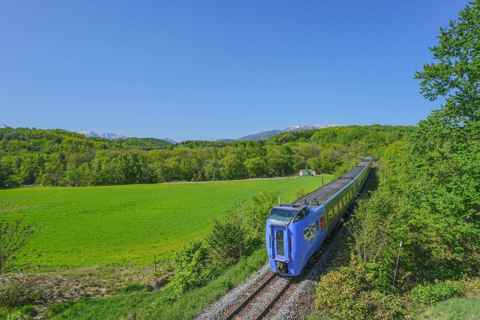 北海道の都市間特急列車はそのほとんどが電車ではなくディーゼル車により運行が行われている（写真AC）