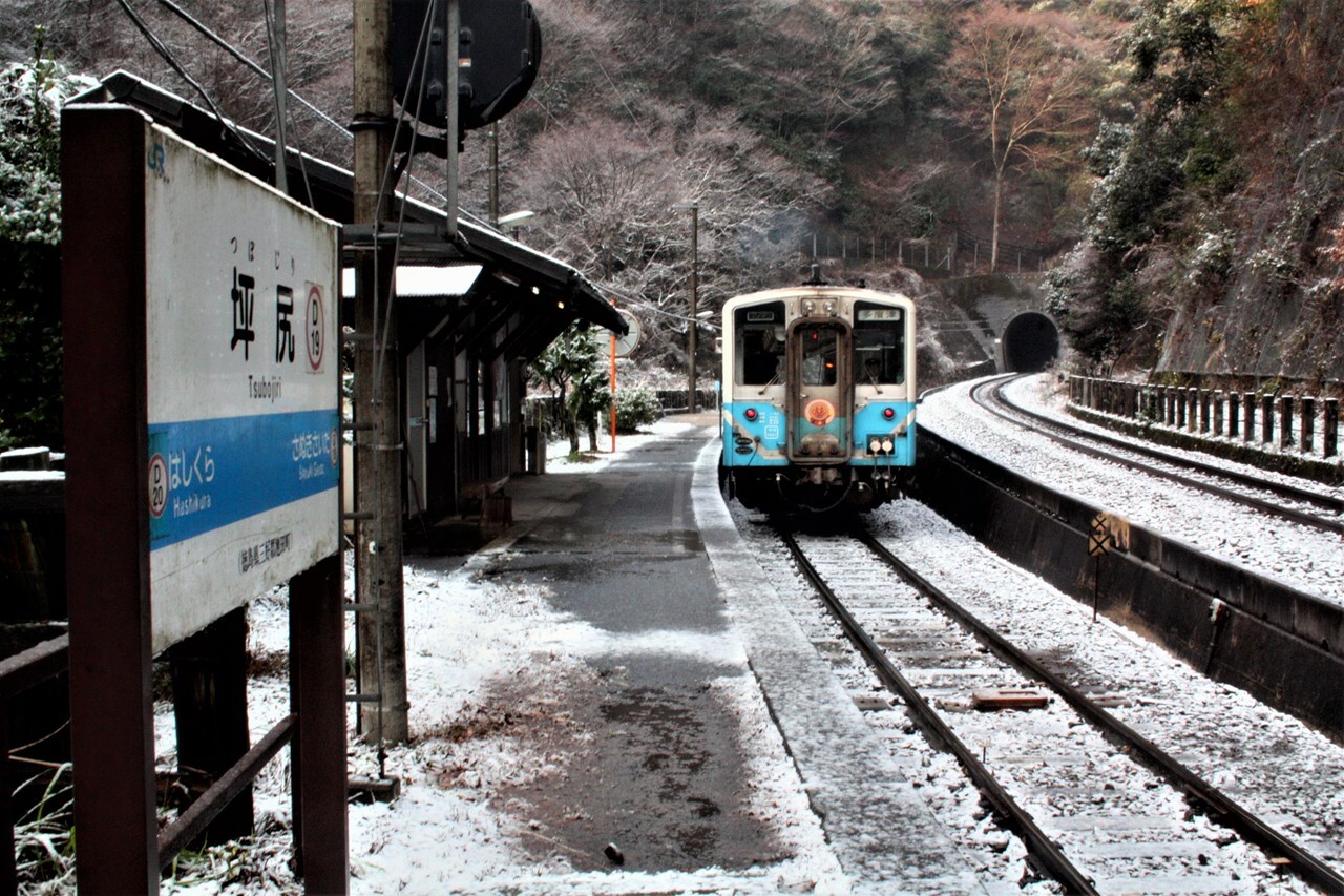 坪尻駅に着いた上り多度津（たどつ）行の普通列車。このあと、一旦バックし、さらに向きを変えて右側のトンネルの中に消えた。