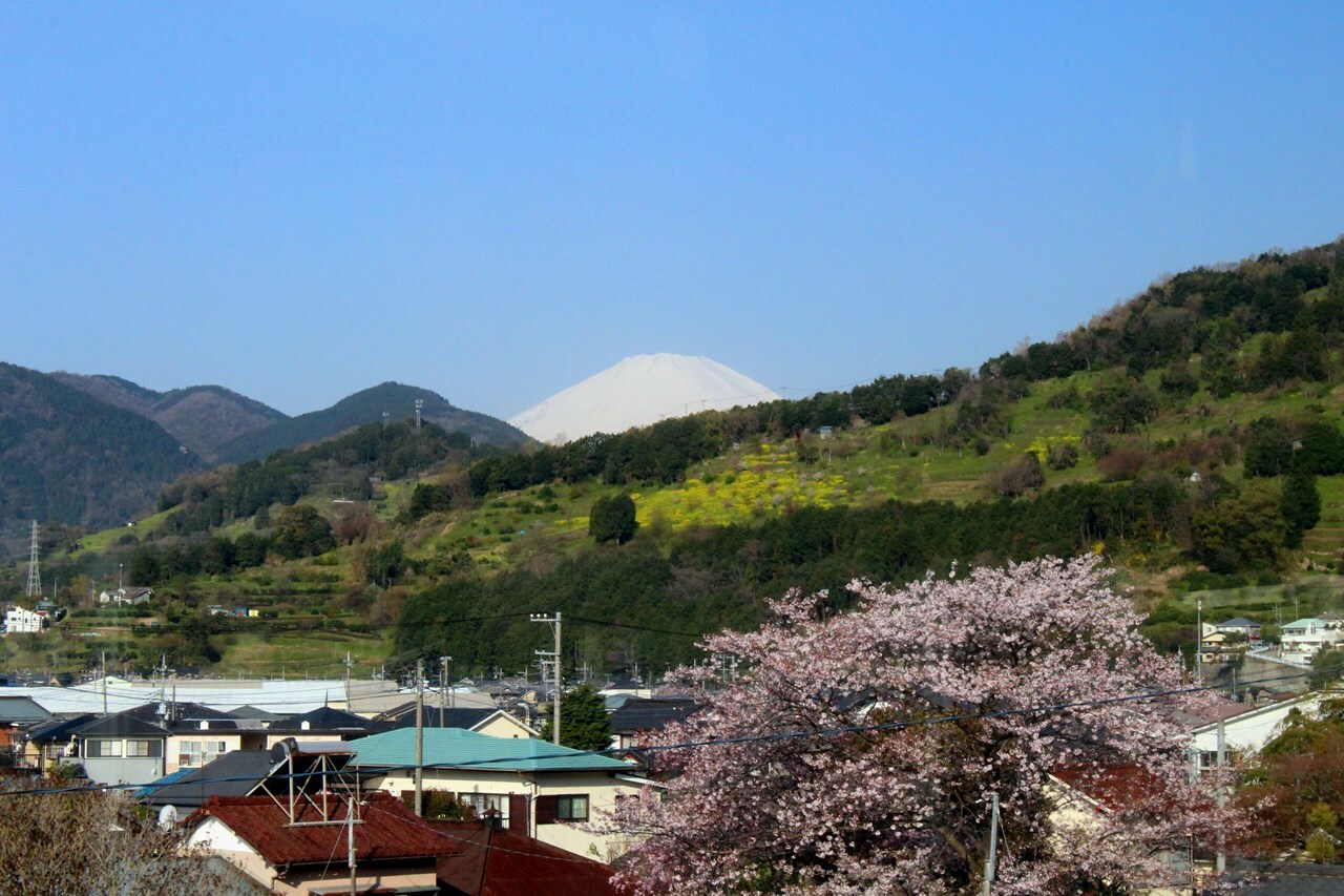 国府津から山北ぬ向かう車窓から見えた富士山。空気の澄んだ日にはくっきりと見える。