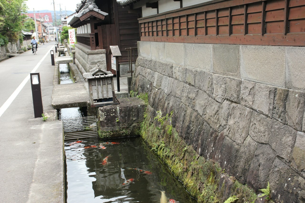 錦鯉が泳ぐ武家屋敷通りの水路。城下町の情緒が漂う一角だ。