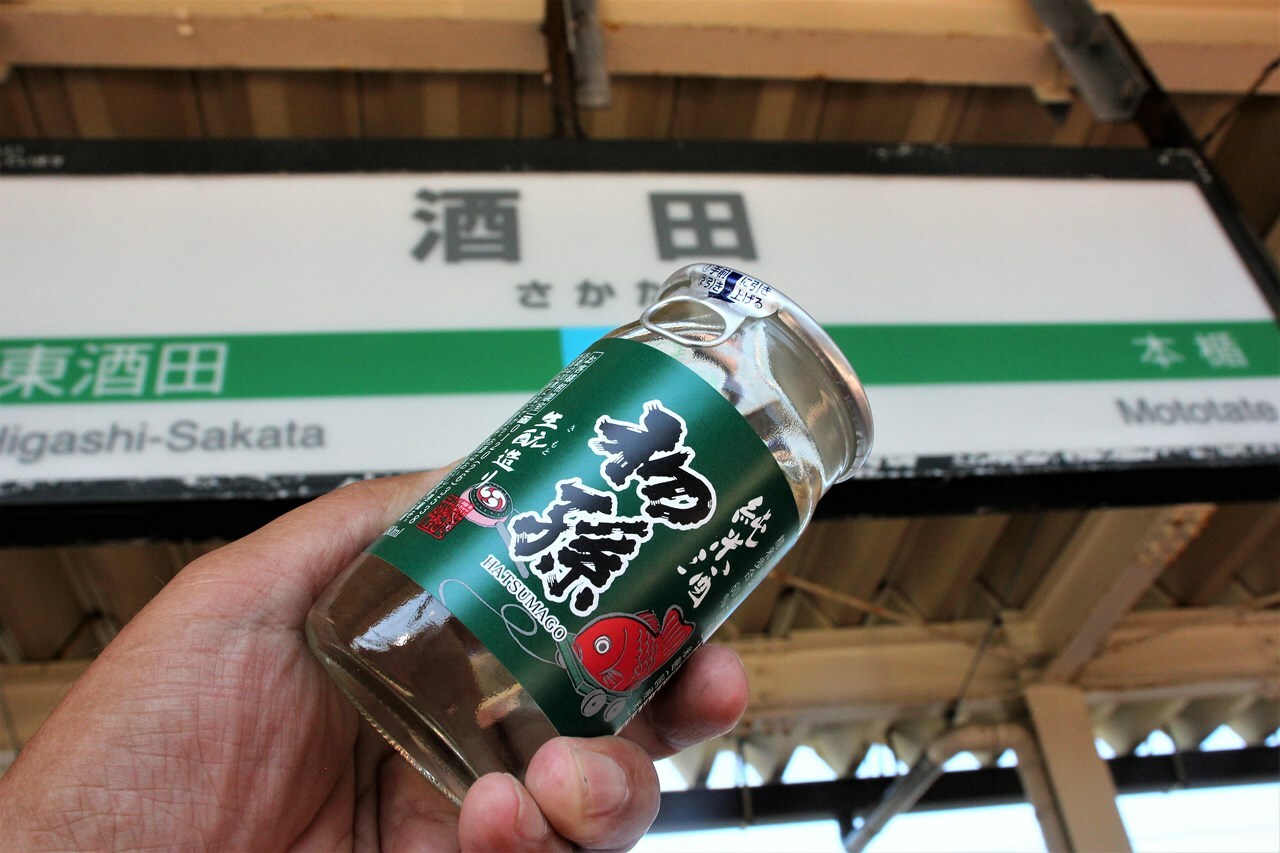 酒田駅で買った呑み鉄の酒「初孫」。今では酒田で最も有名なお酒だ。