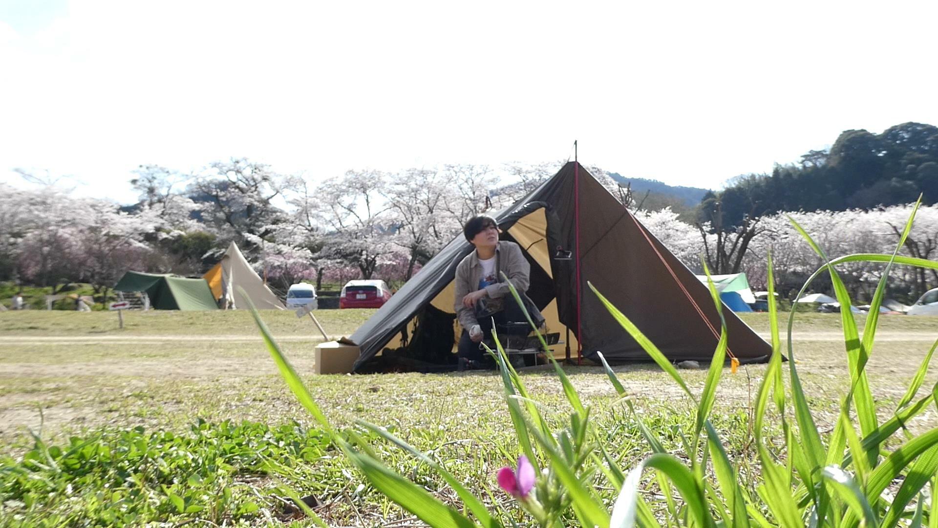 桜の時期の笠置キャンプ場