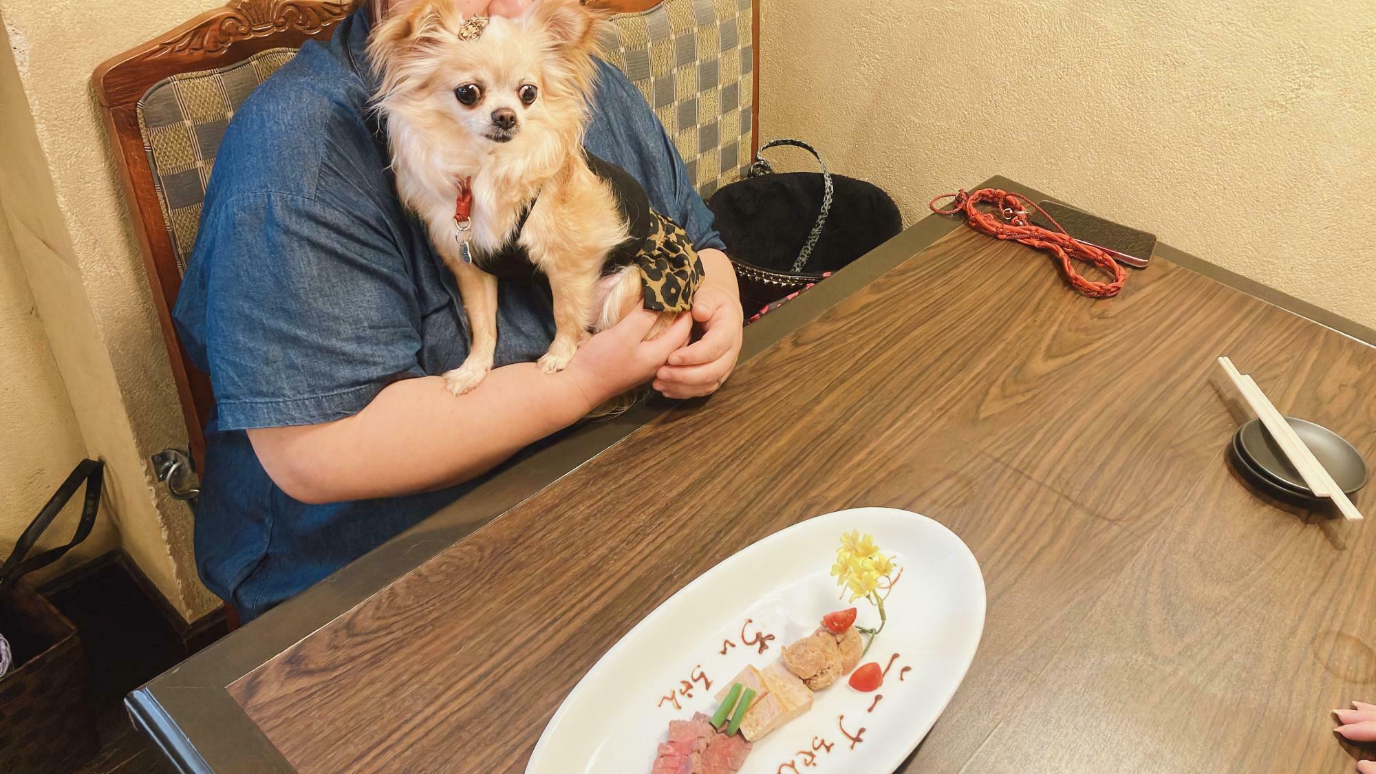 保護犬だったニーナちゃんと飼い主さん