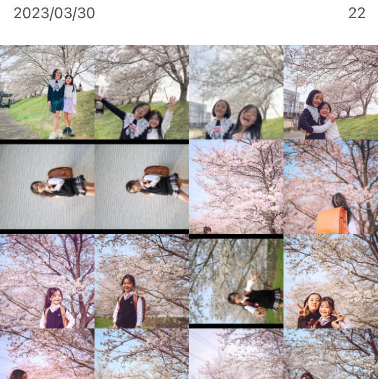 桜の時期には毎日撮ってた「桜with子ども」も、厳選せず全残しできて幸せな母です。