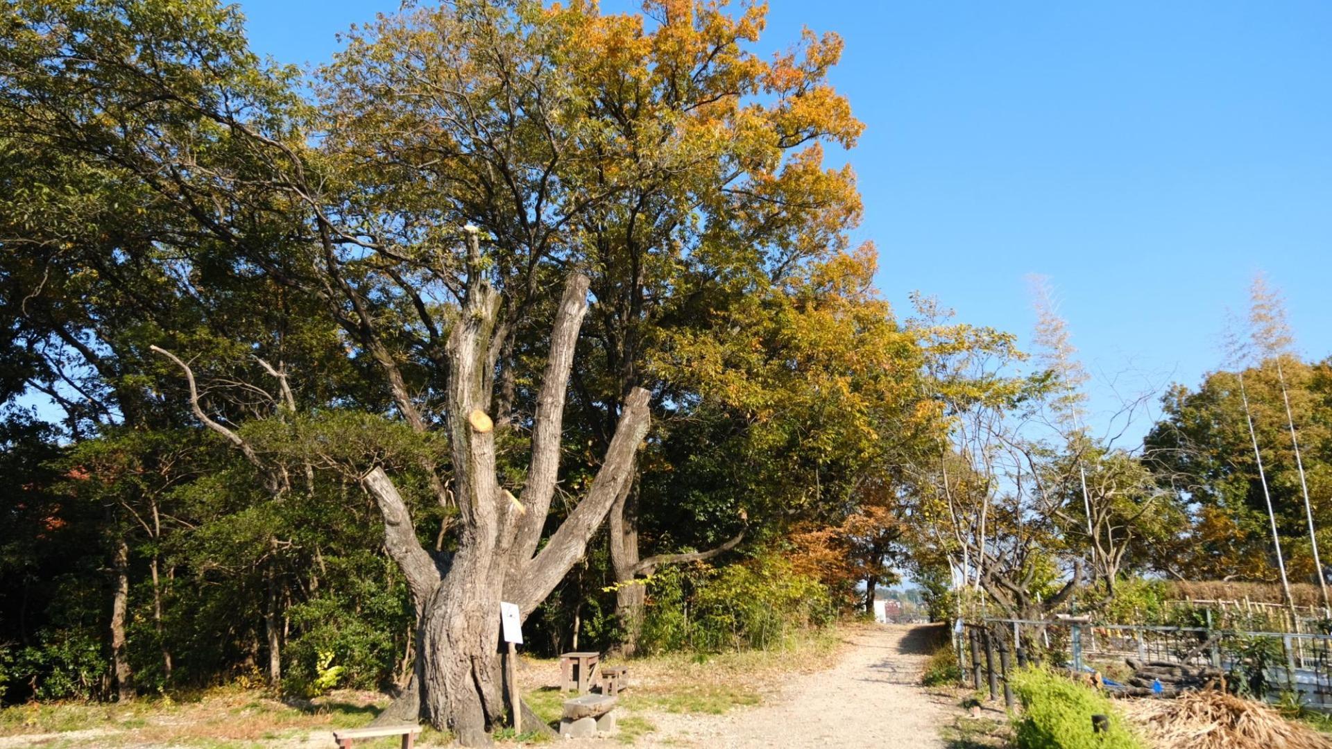 【名古屋市】思いがけないところに現れる。ディープな名古屋を知れる歴史スポット3選（土庄雄平） - エキスパート - Yahoo!ニュース