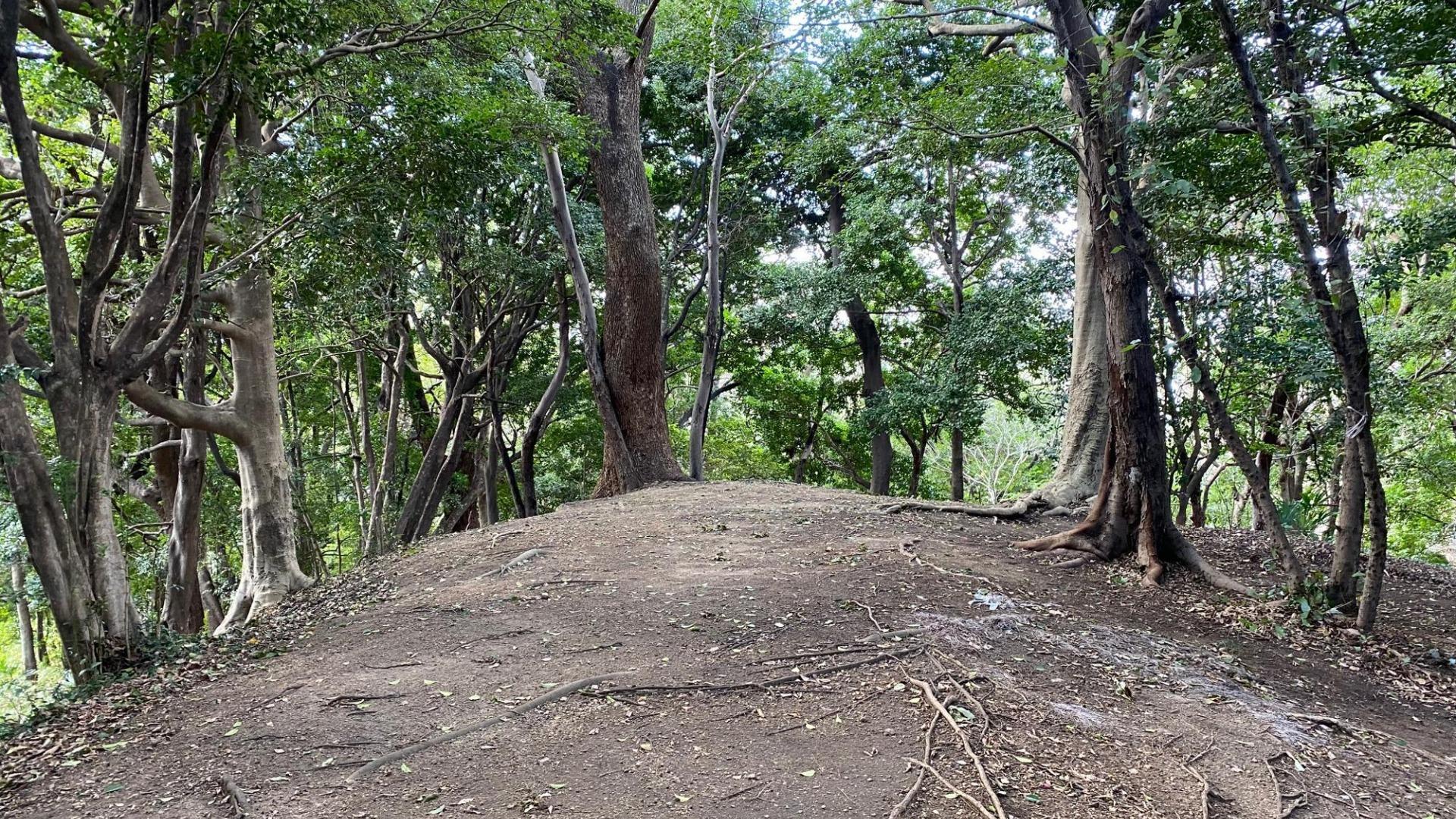 【名古屋市】古墳が語る、もう一つの名古屋。三英傑より前の歴史を歩く（土庄雄平） - エキスパート - Yahoo!ニュース