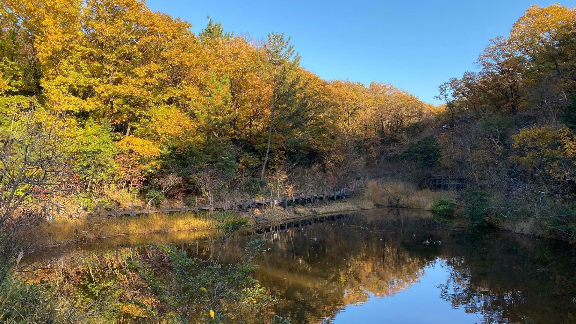 【名古屋市緑区・天白区】四季を通じて美しい。ふと自然を満喫できる絶景の公園・ハイキングスポット5選（土庄雄平） - エキスパート - Yahoo!ニュース