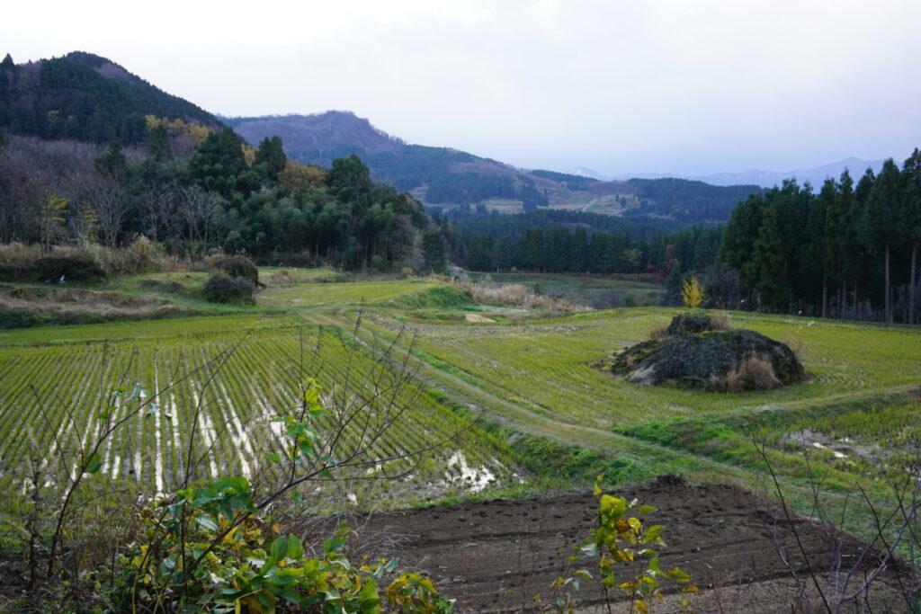 地滑りでできた棚田に残る巨石