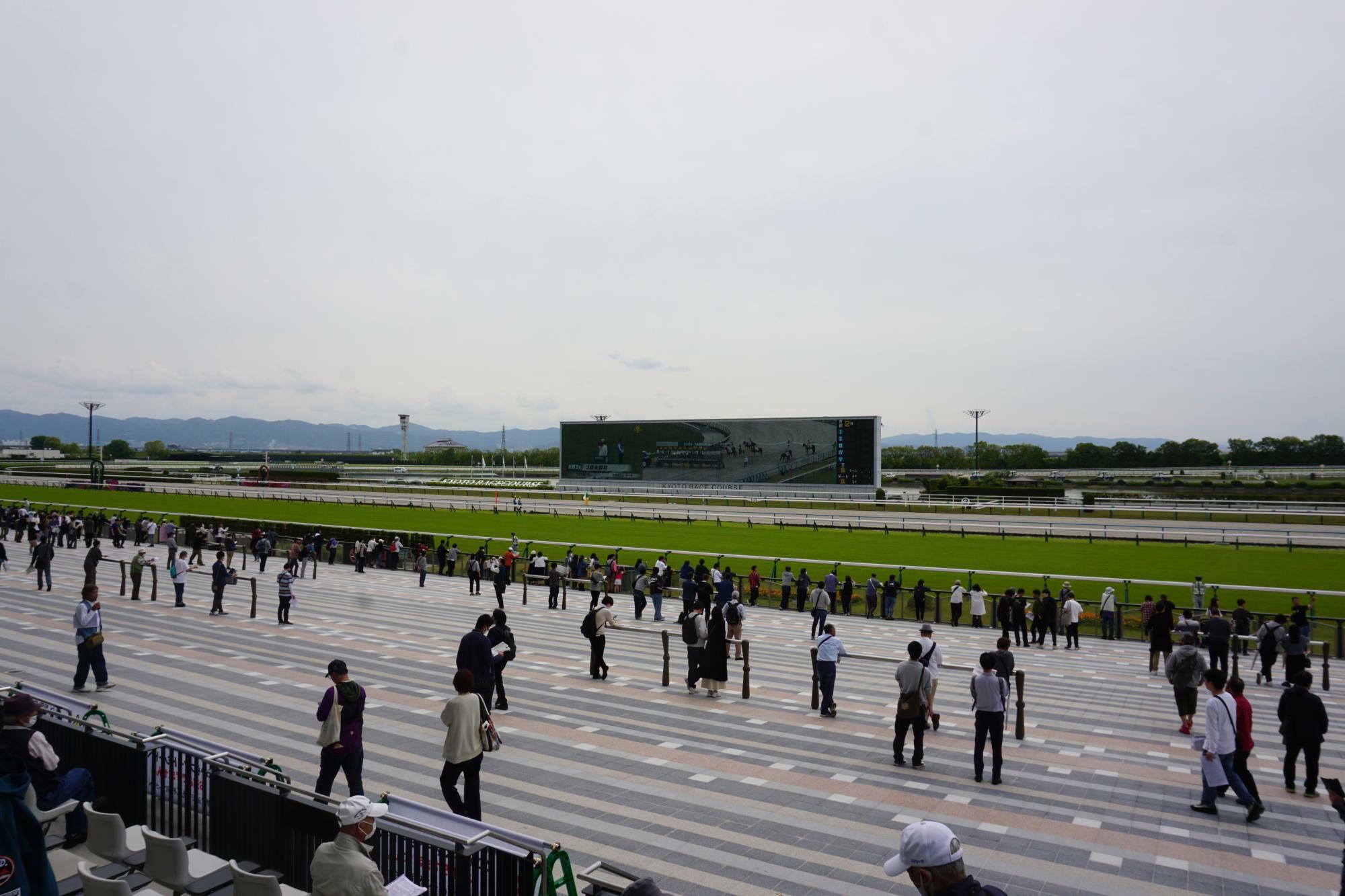 掲示板の裏側に池がある