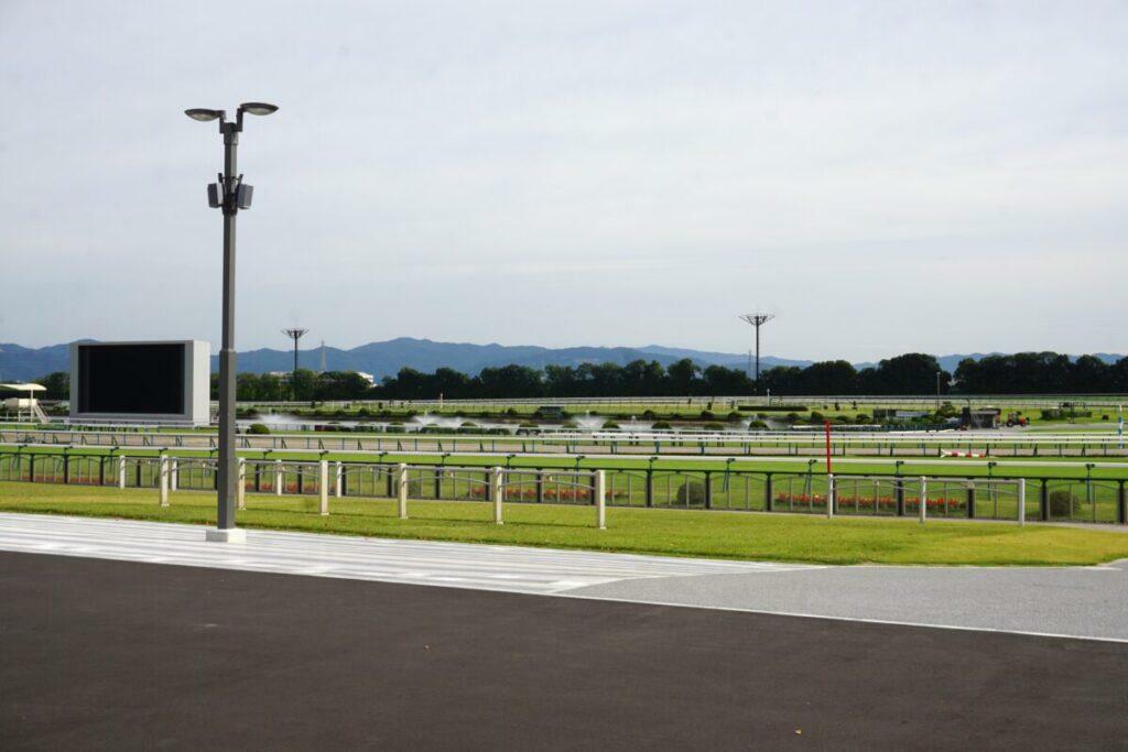 池から噴水が上がるのが見える