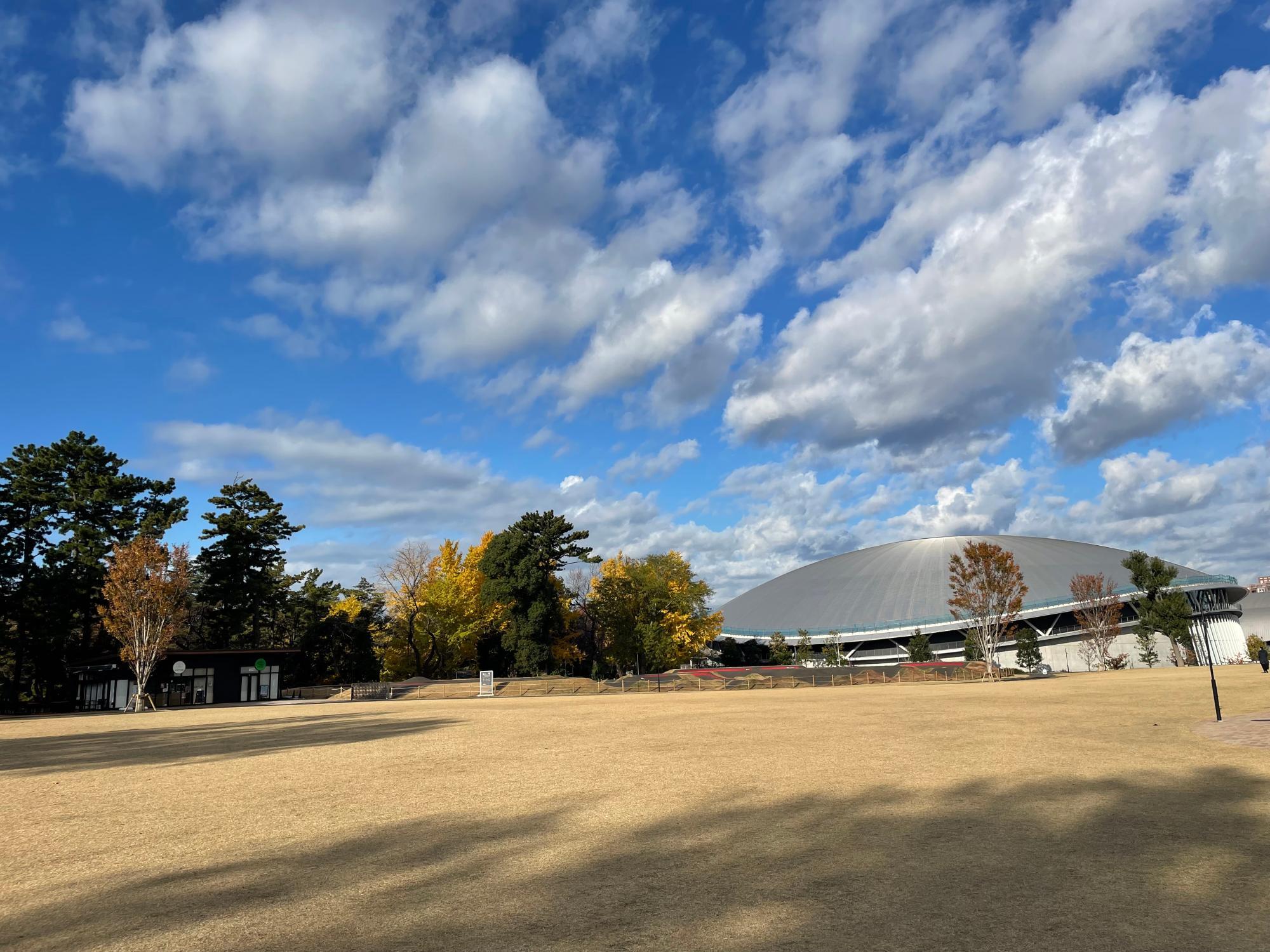 広々とした芝庭広場