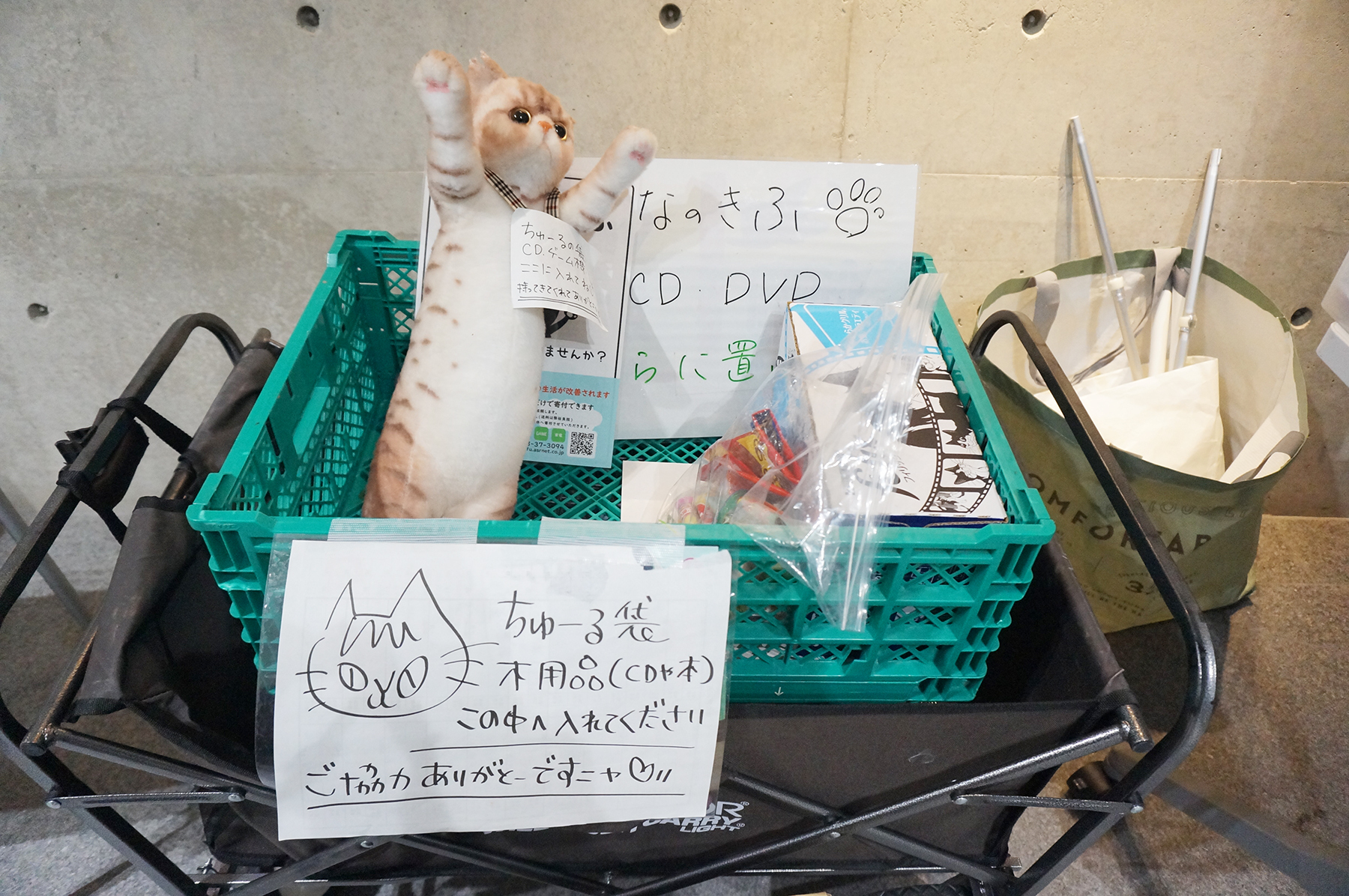 春日井市】大手企業でも保護猫譲渡会が開催される時代に。ダイコク電機