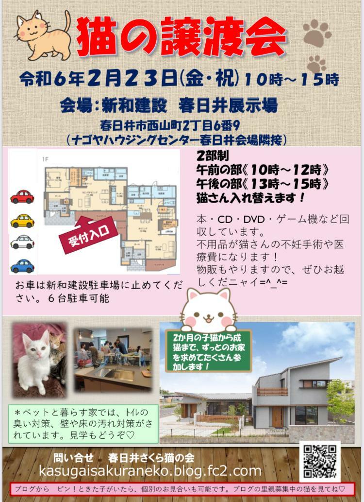 提供：春日井さくら猫の会