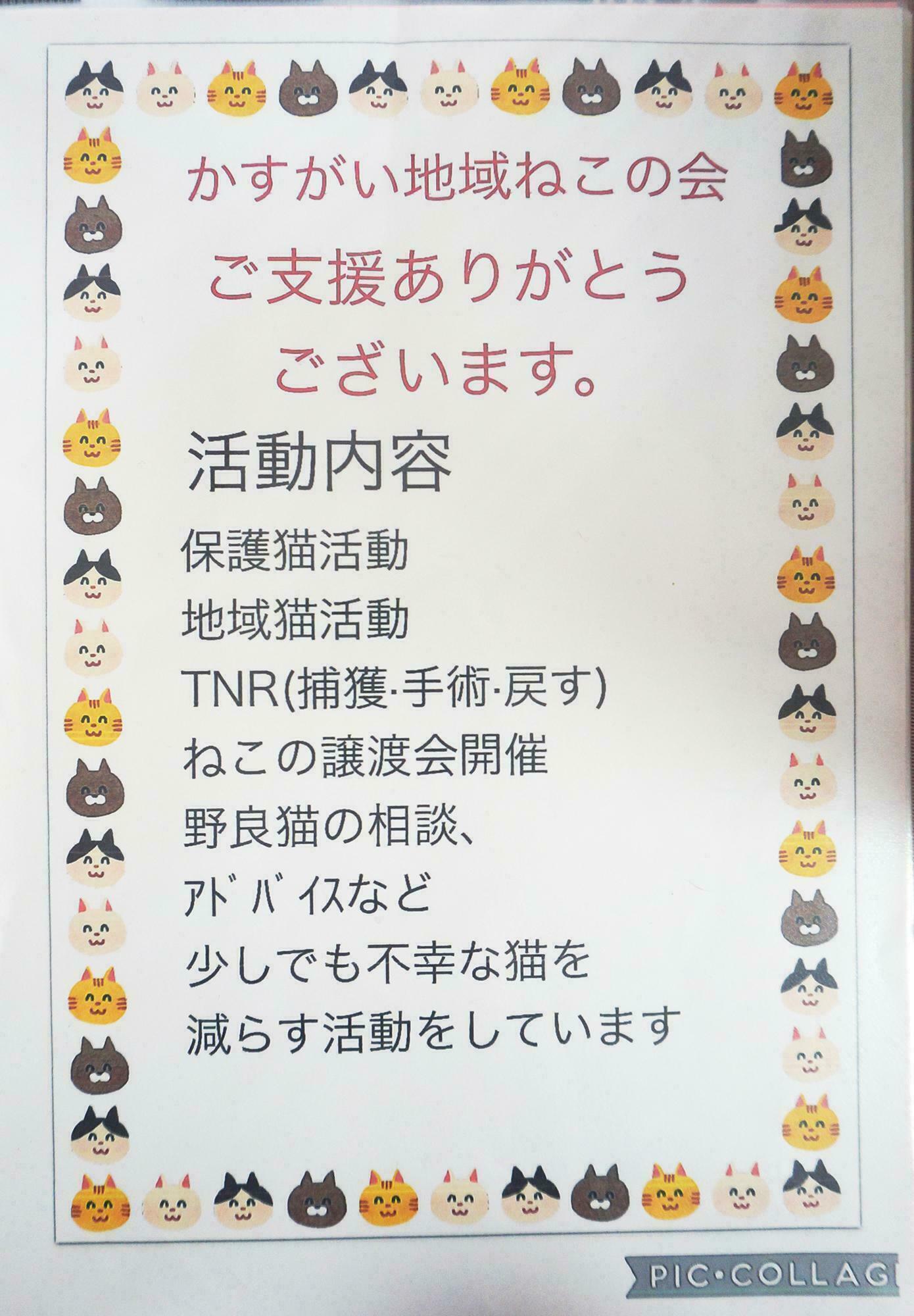 かすがい地域ねこの会　活動内容