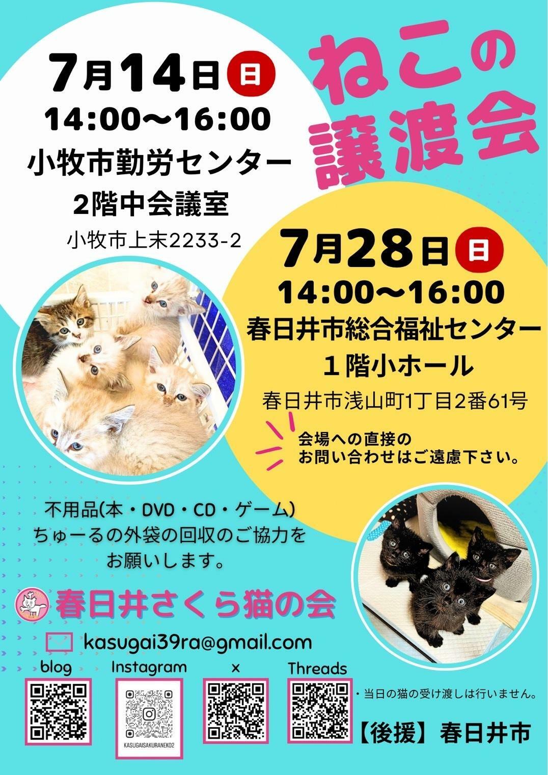 提供：春日井さくら猫の会