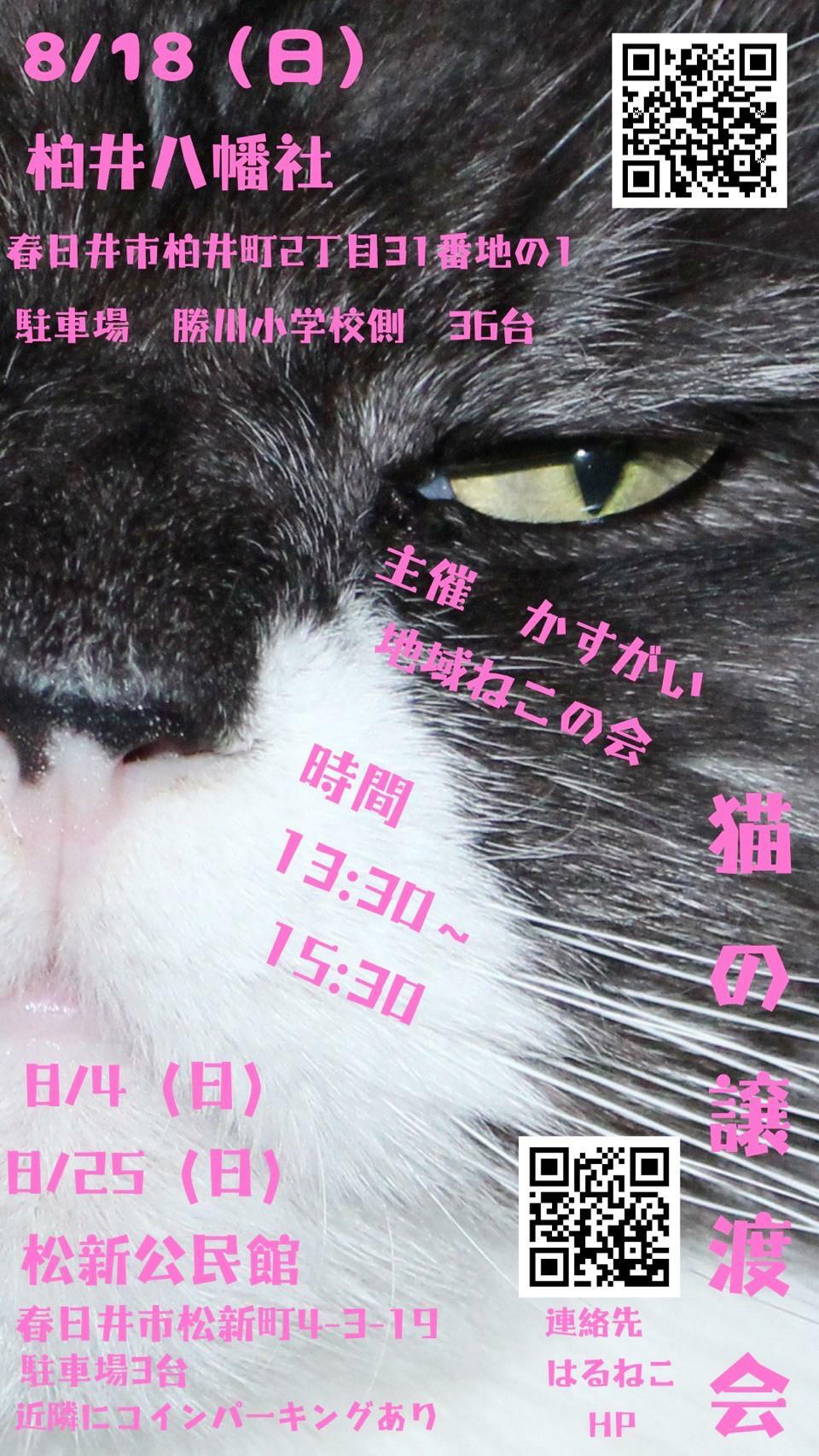 提供：かすがい地域ねこの会