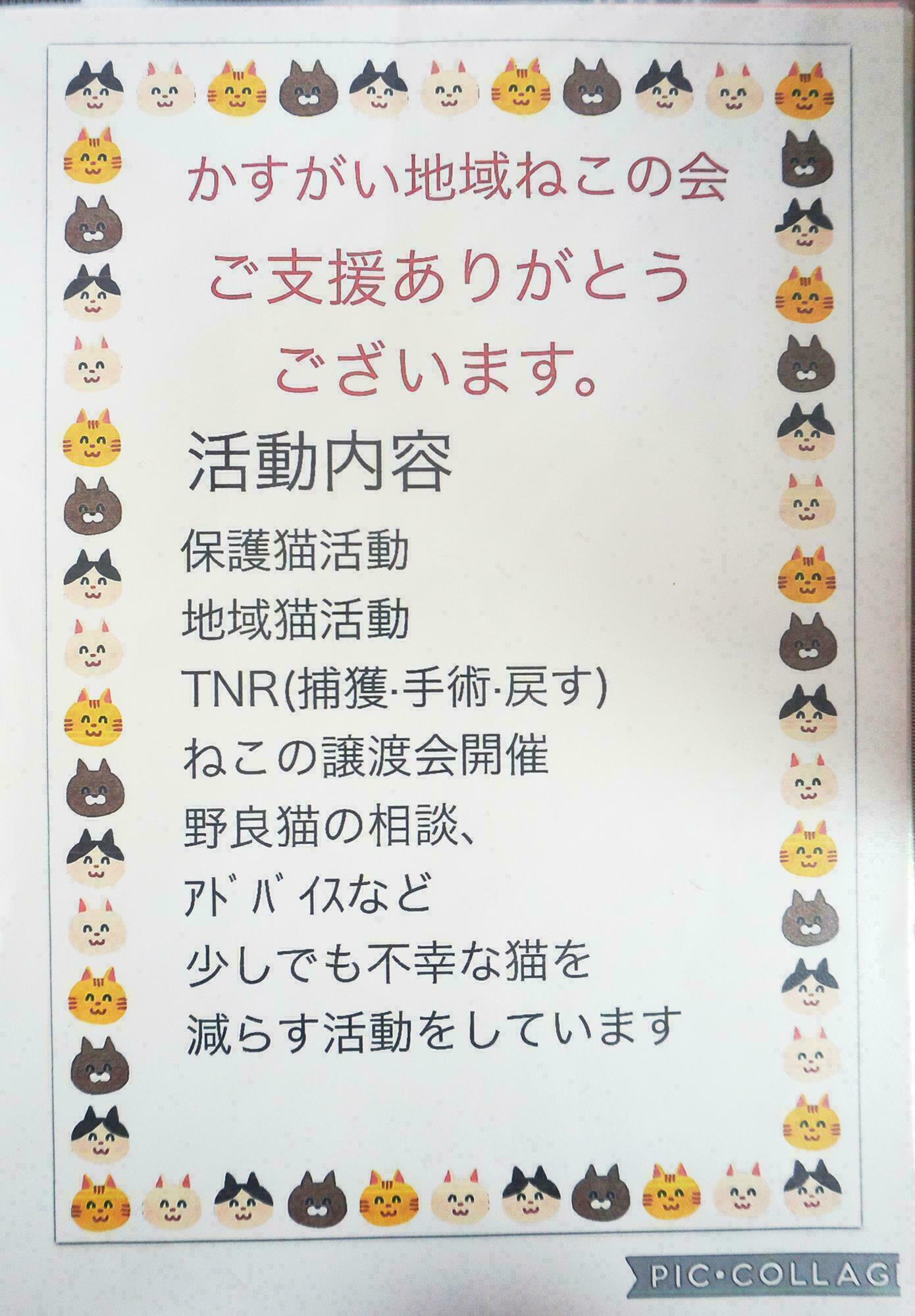 かすがい地域猫の会活動内容