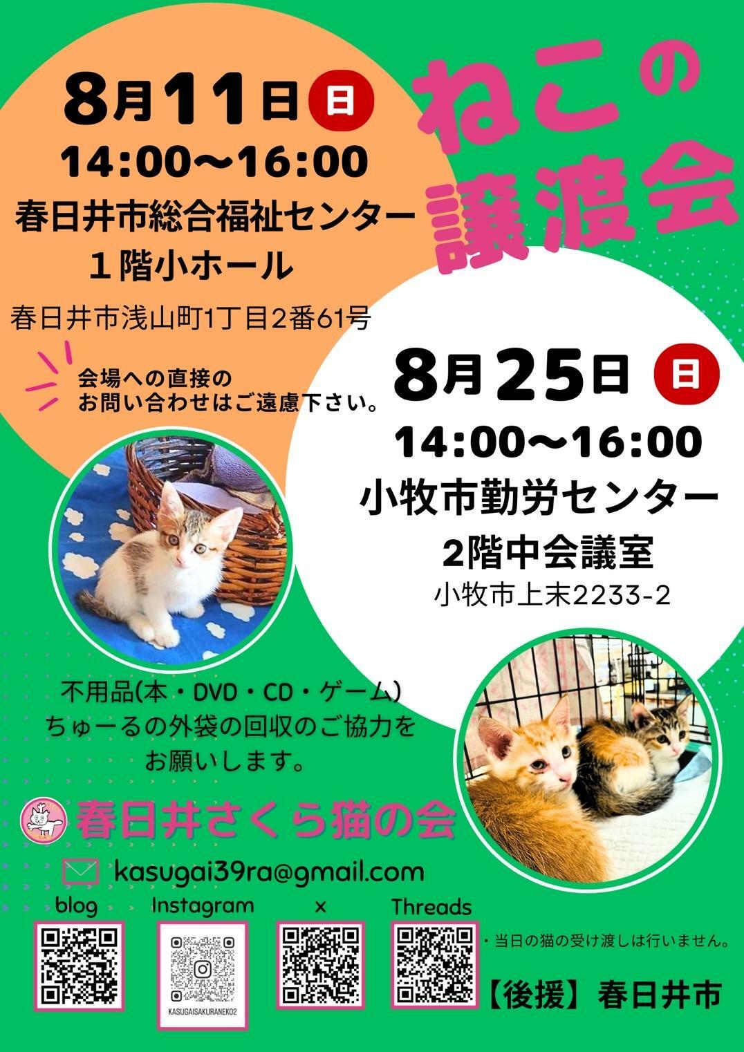 提供：春日井さくら猫の会