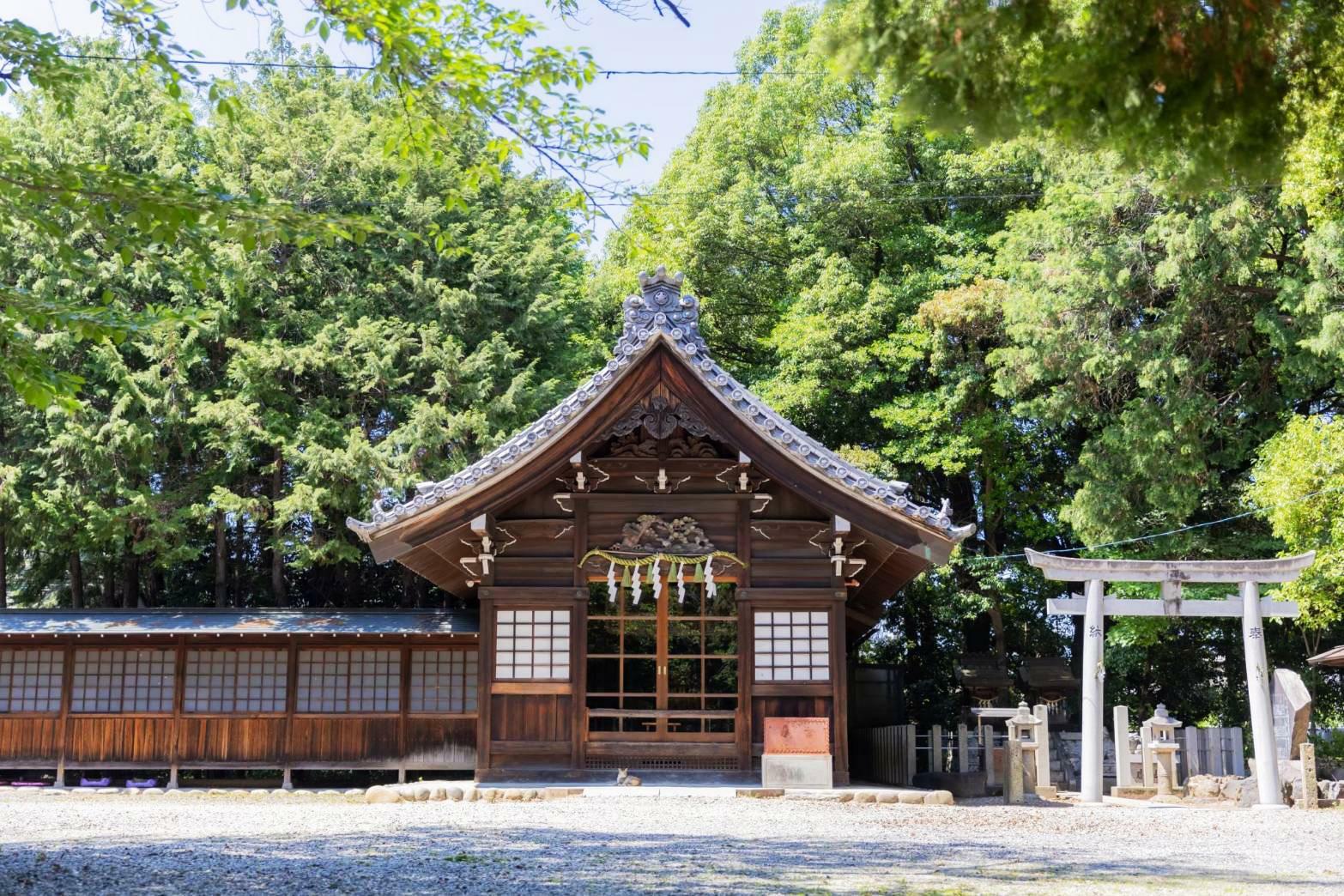 柏井八幡社本宮（提供：柏井八幡社）