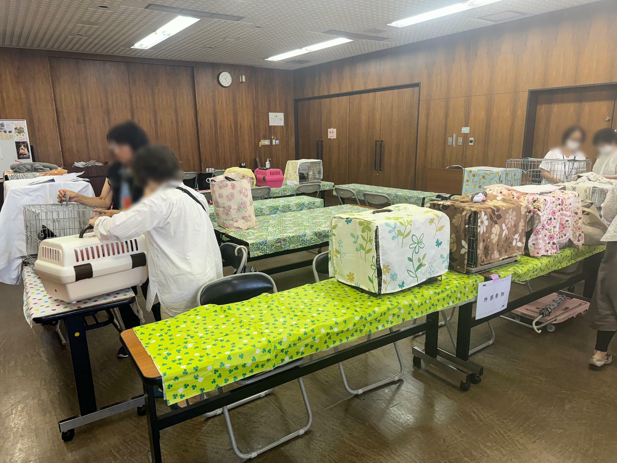 保護猫譲渡会当日　会場設営の様子